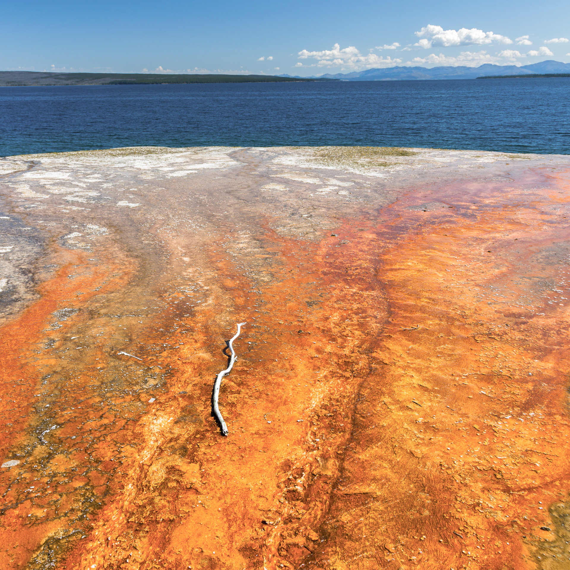 West Thumb Geyser Basin, Yellowstone National Park, Wyoming.