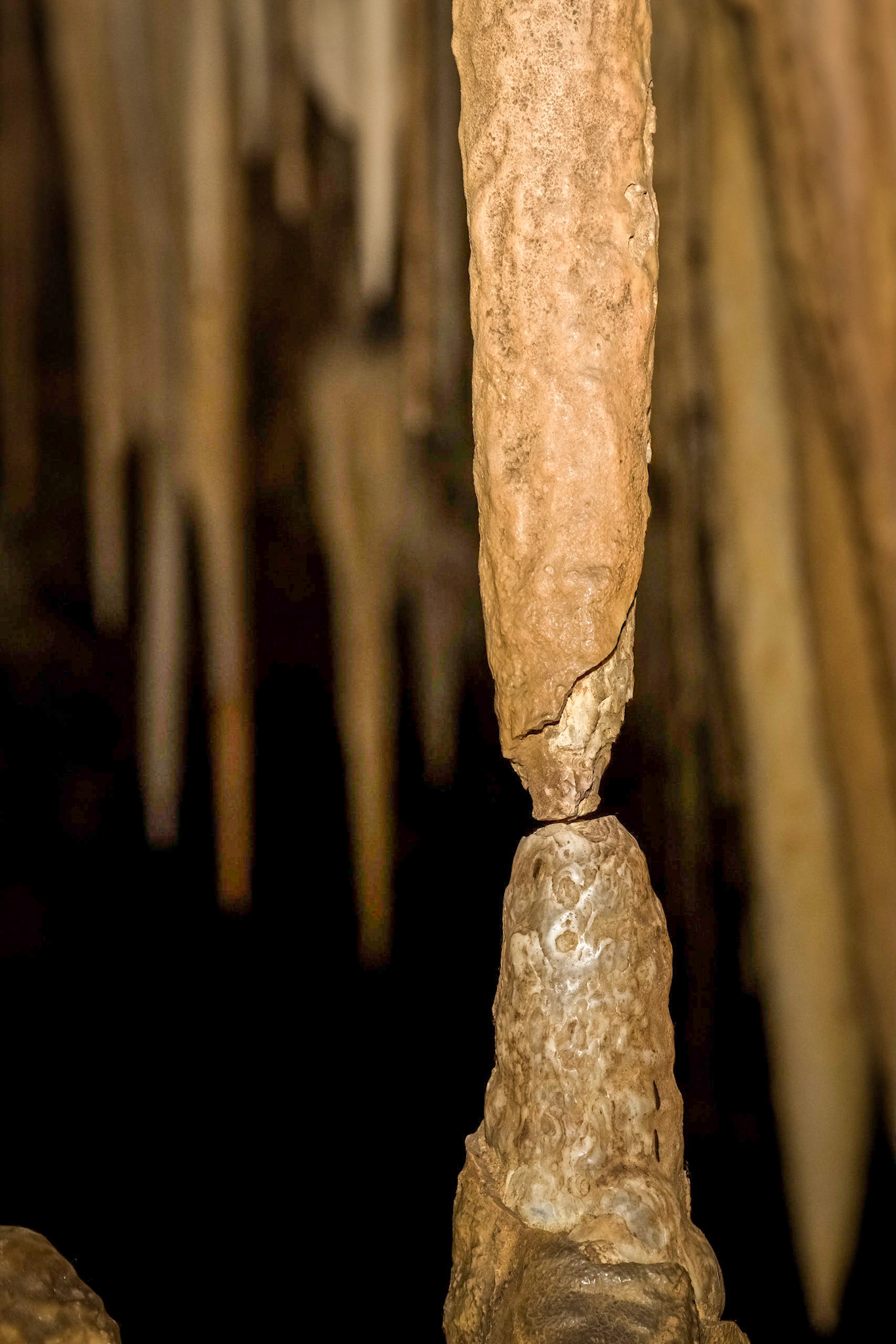 In the Newdegate Cave, one of the largest dolomite caves in the southern hemisphere.