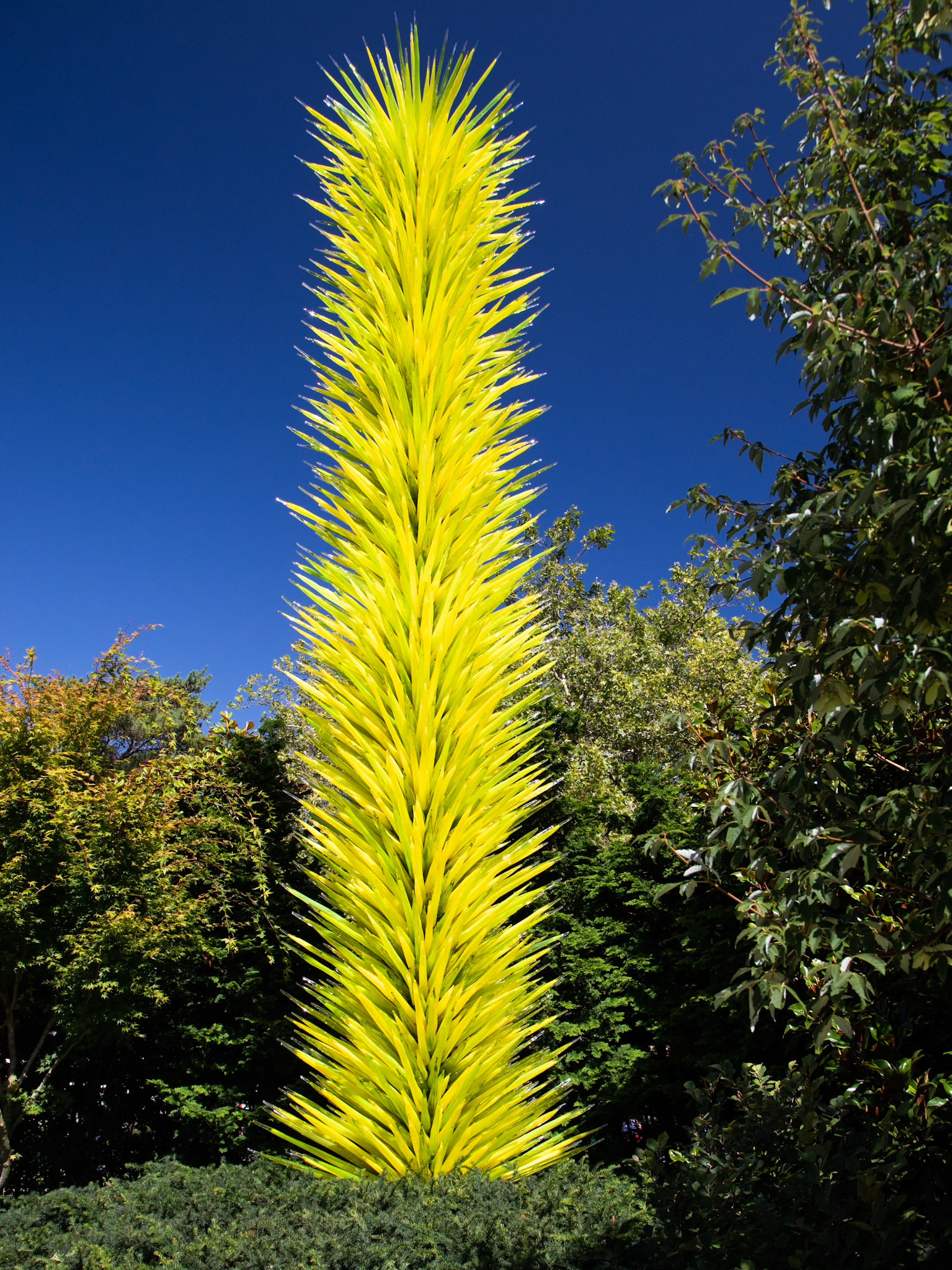 Chihuly Garden & Glass: In the Garden.