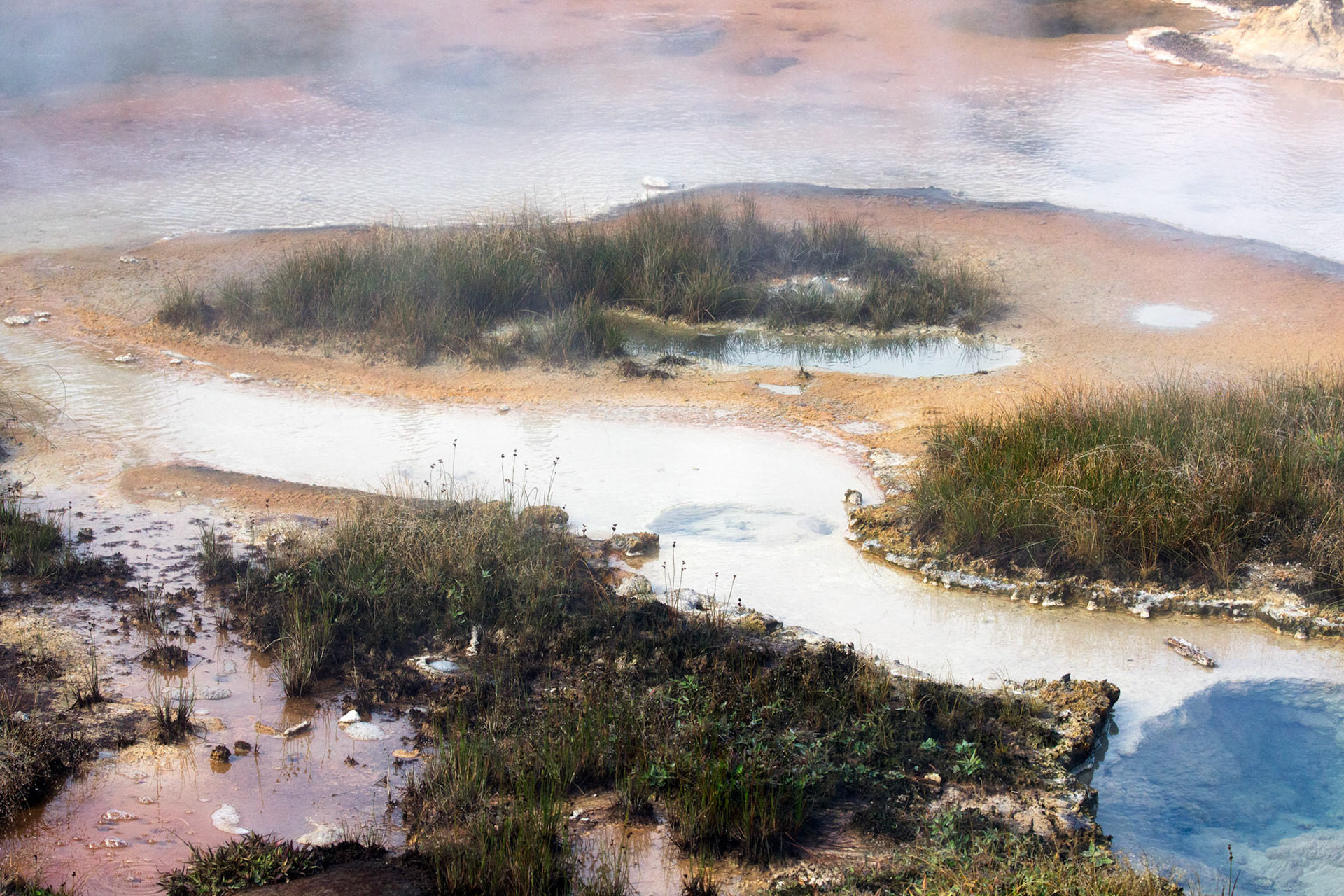 Artist Paint Pot Trail, Flash Spring.