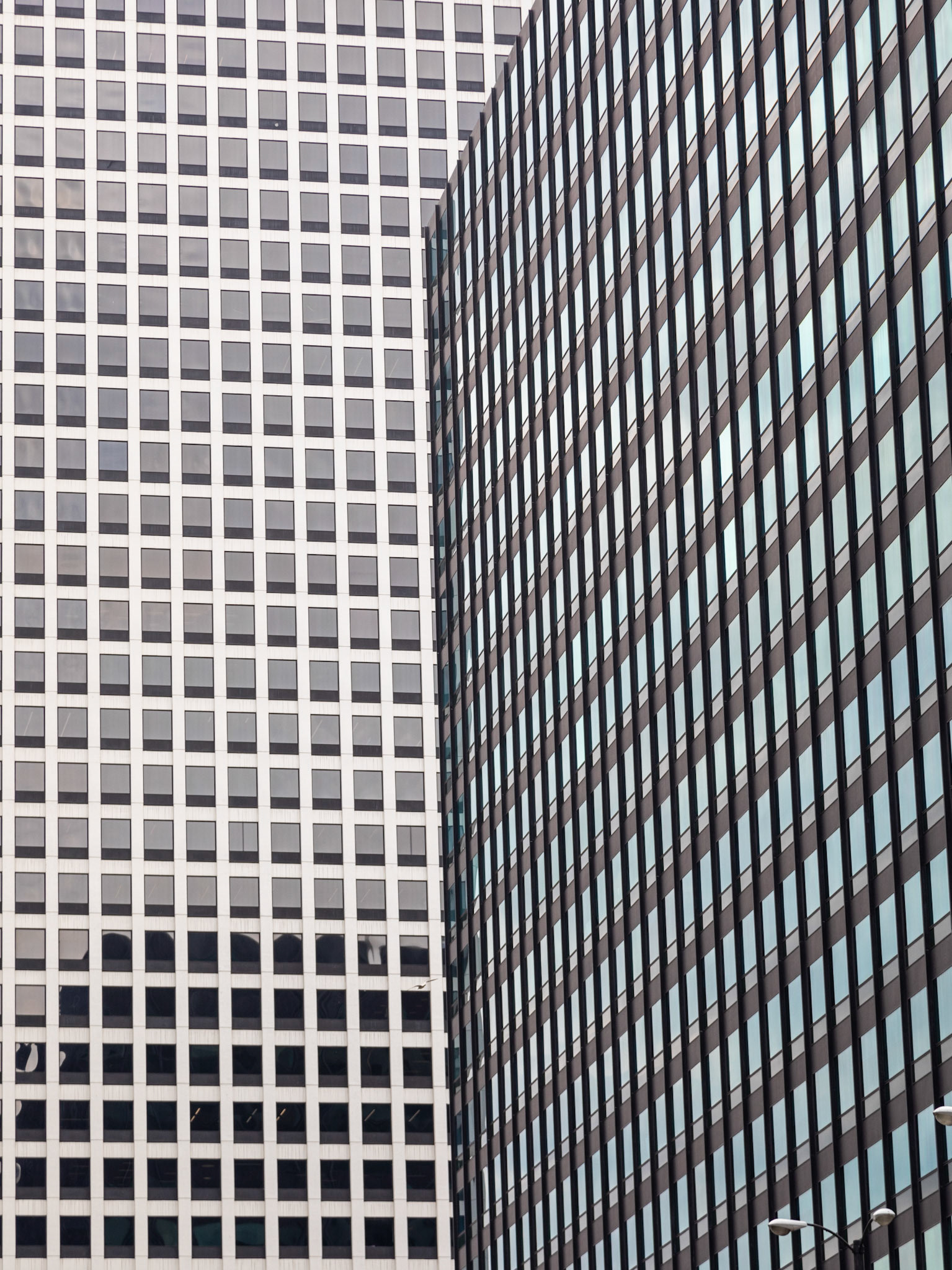 A View from the Chicago River