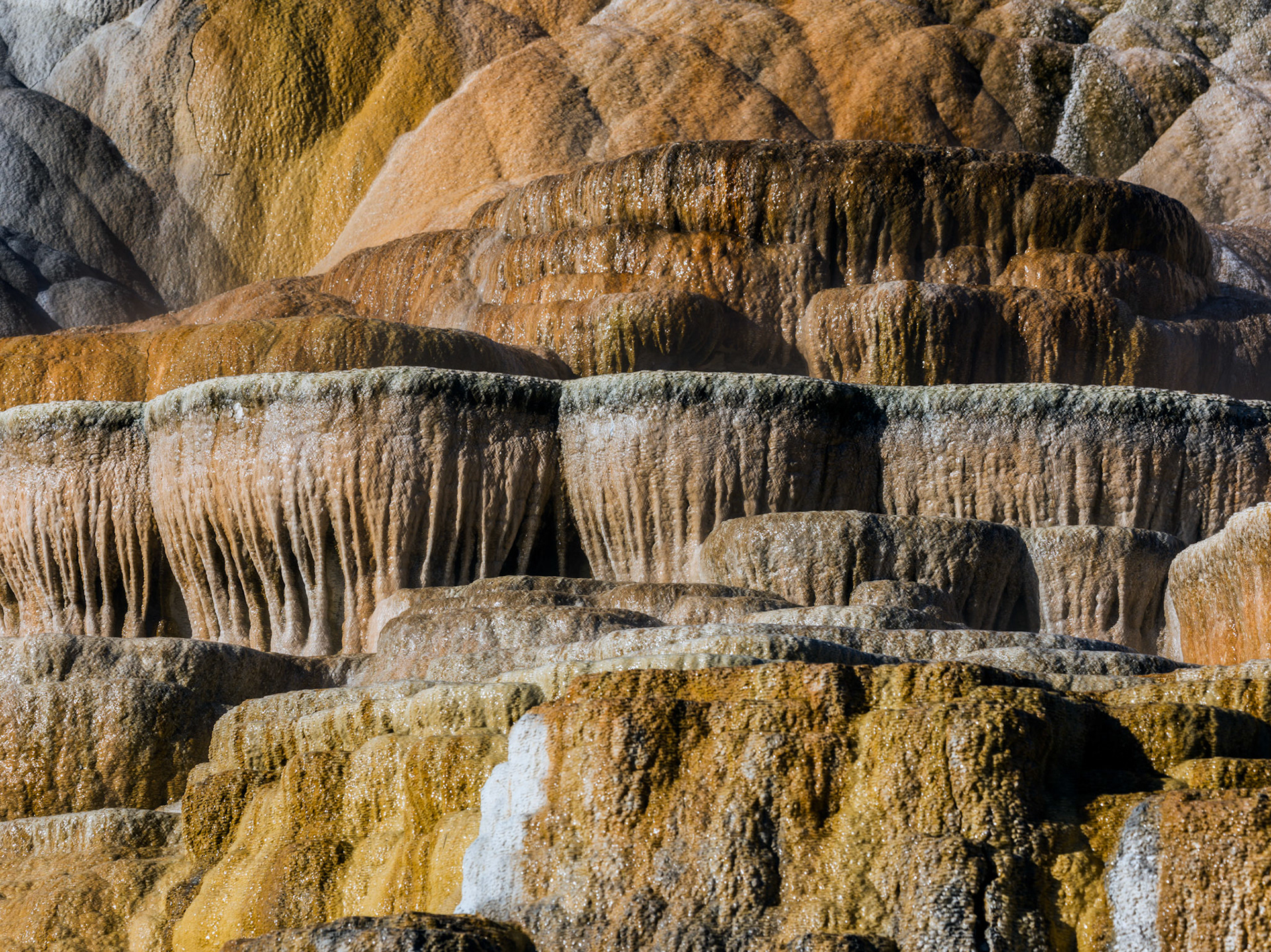 Upper Terraces, Mammoth Hot Springs. Yellowstone National Park, Wyoming.