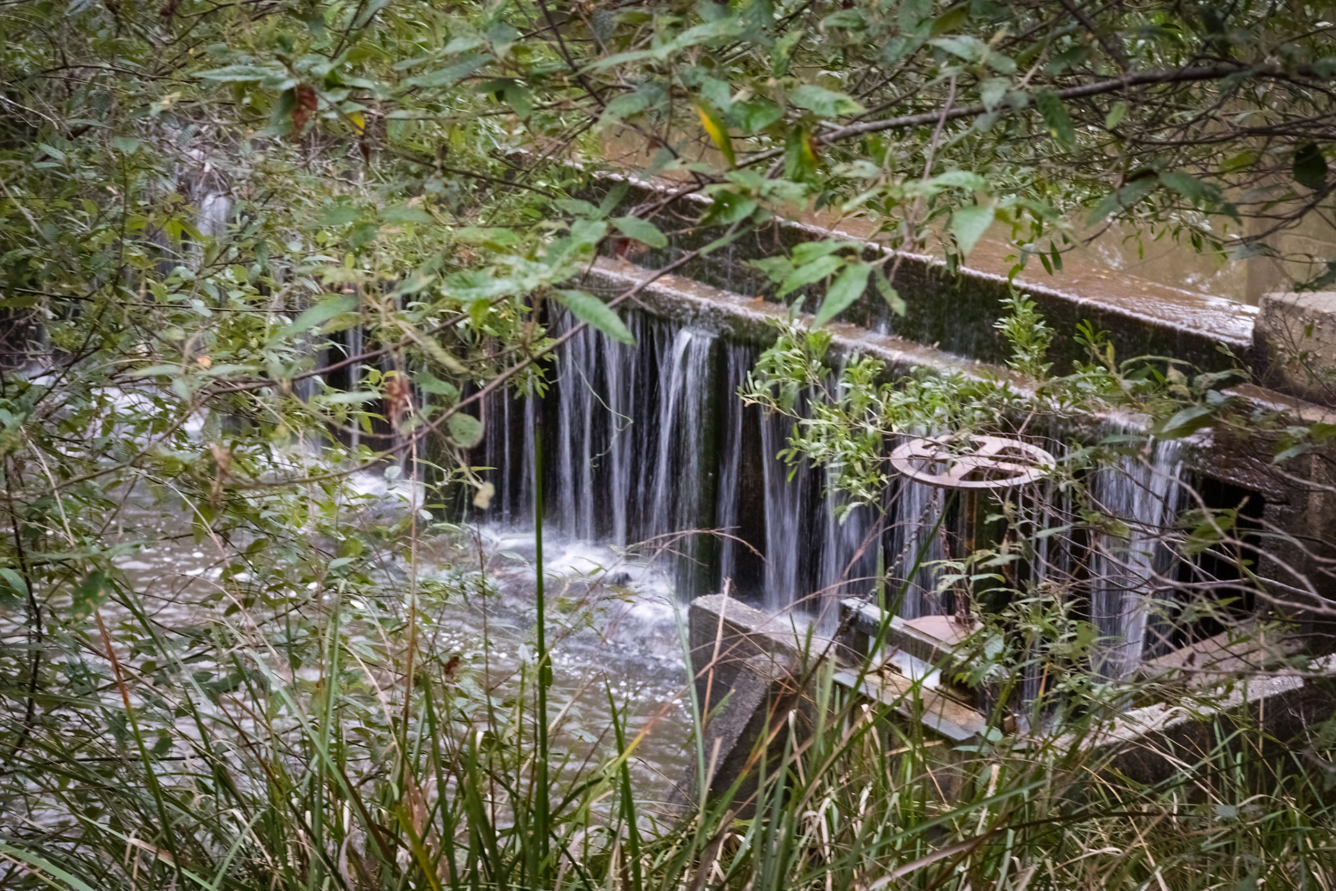 Weir on the Brid River