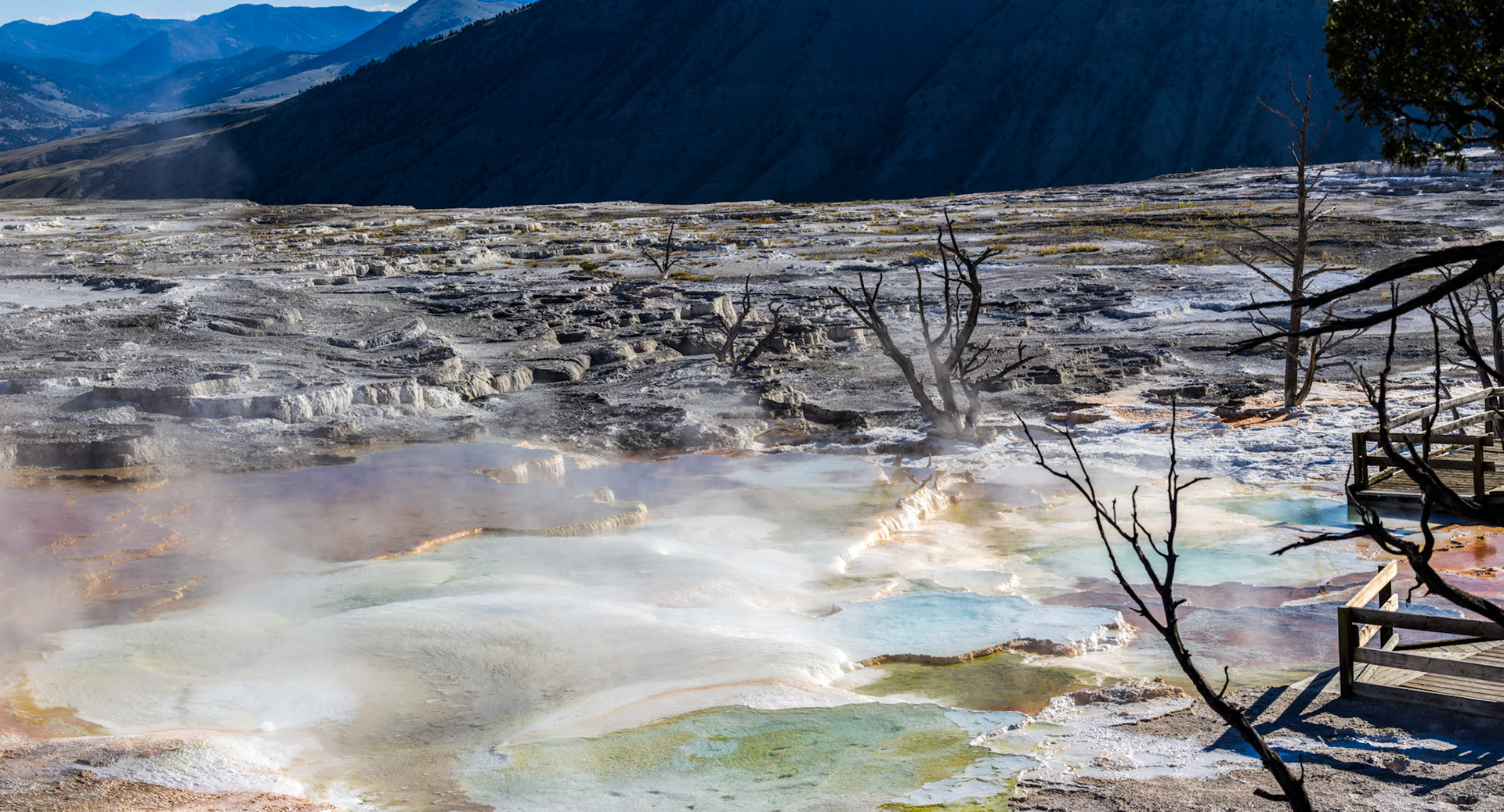 Lower Terraces, Mammoth Hot Springs. Yellowstone National Park, Wyoming.