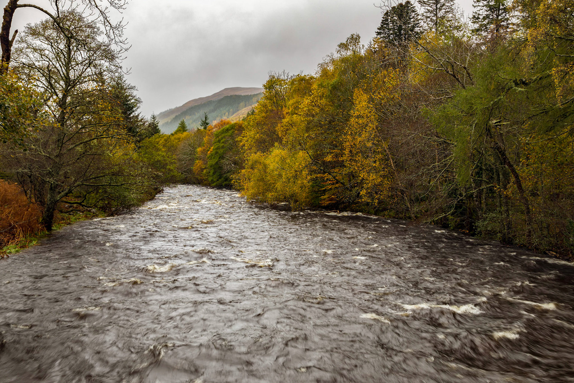 Fast-flowing River Broom
