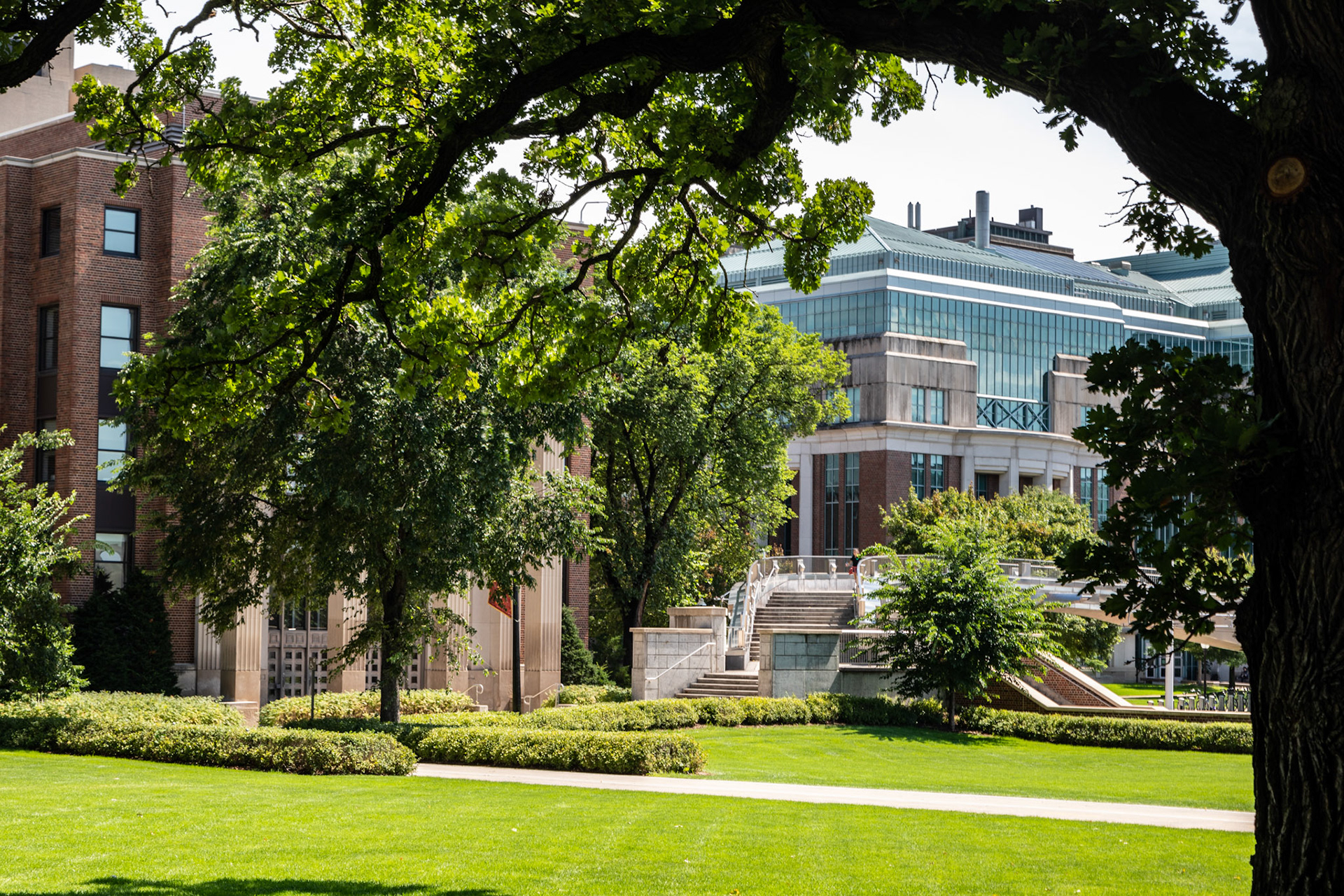 University of Minnesota