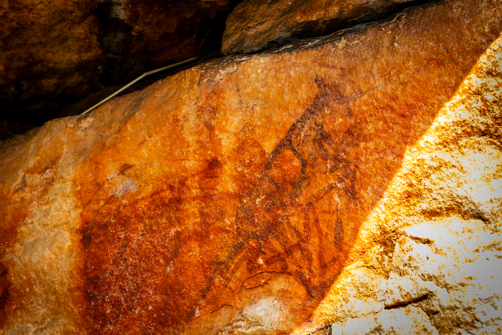 Venture North Safaris