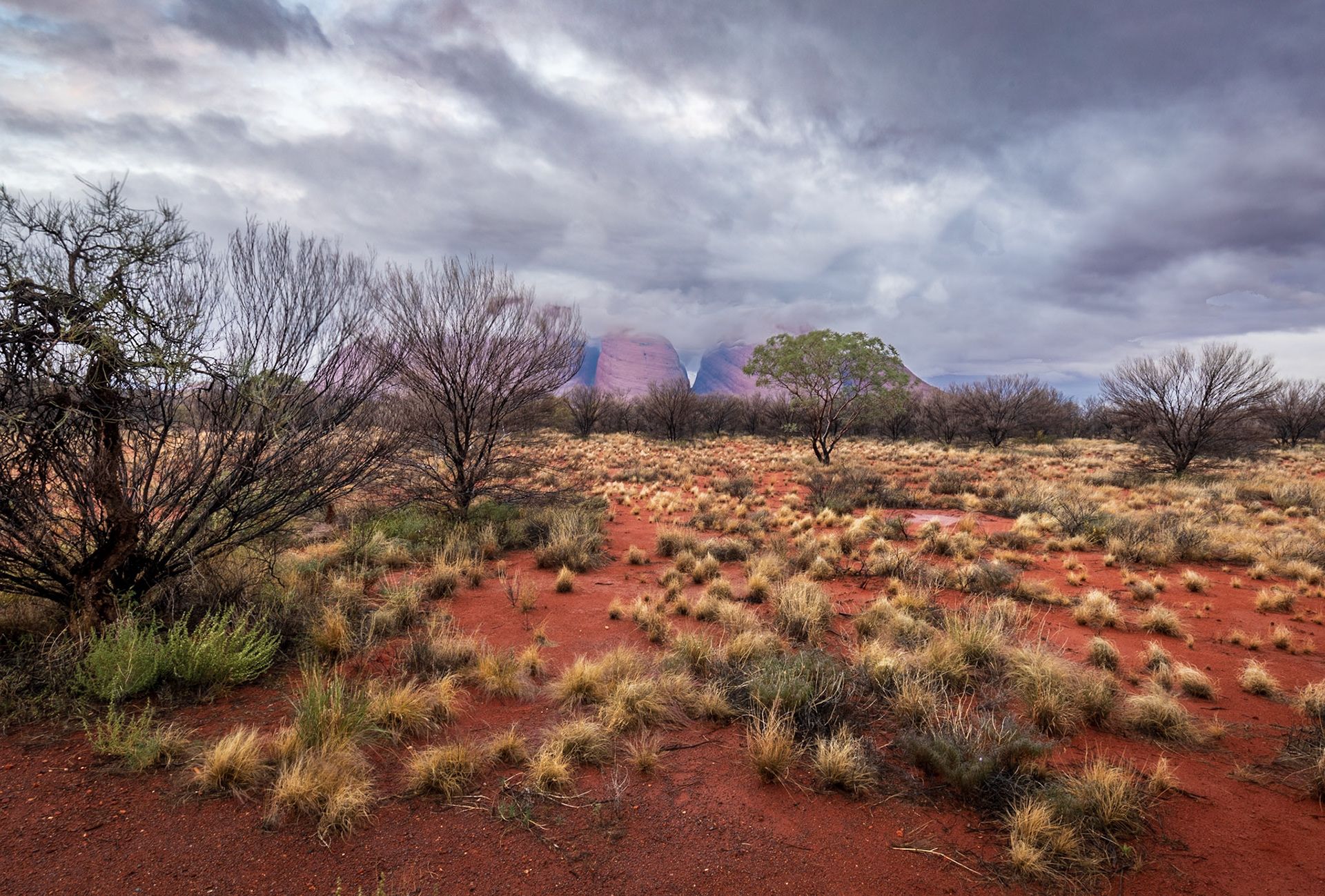 Sunset shoot at Kata Tjuṯa / Mount Olga