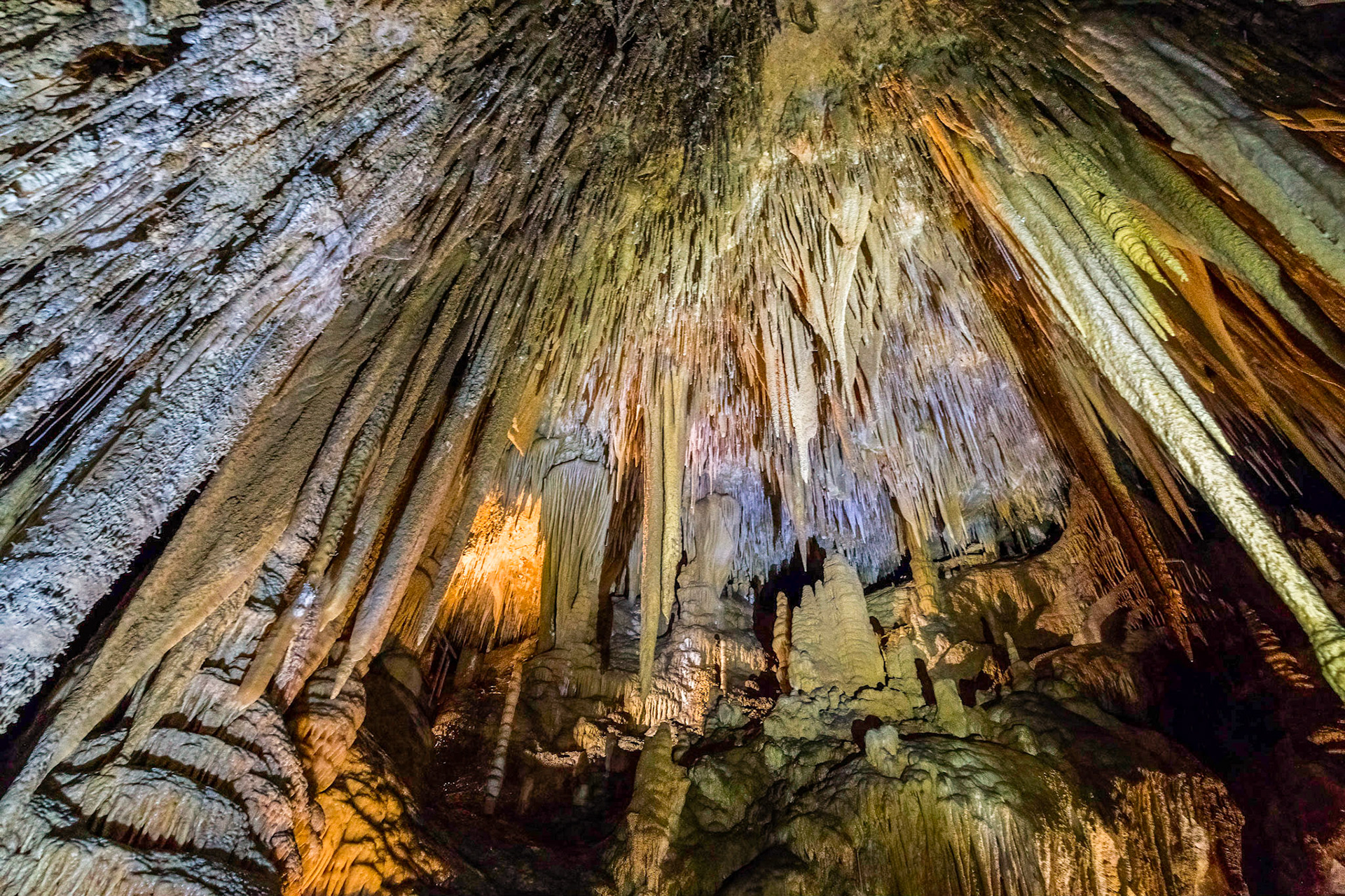 In the Newdegate Cave, one of the largest dolomite caves in the southern hemisphere.