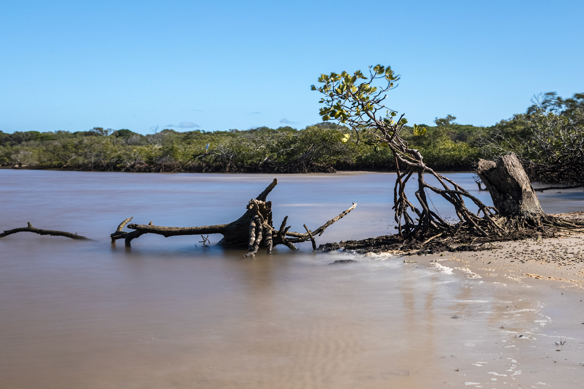 Maroochy River Estuary, Twin Waters