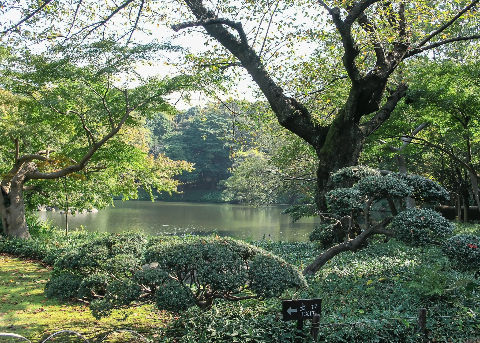 Koishikawa Korakuen Gardens