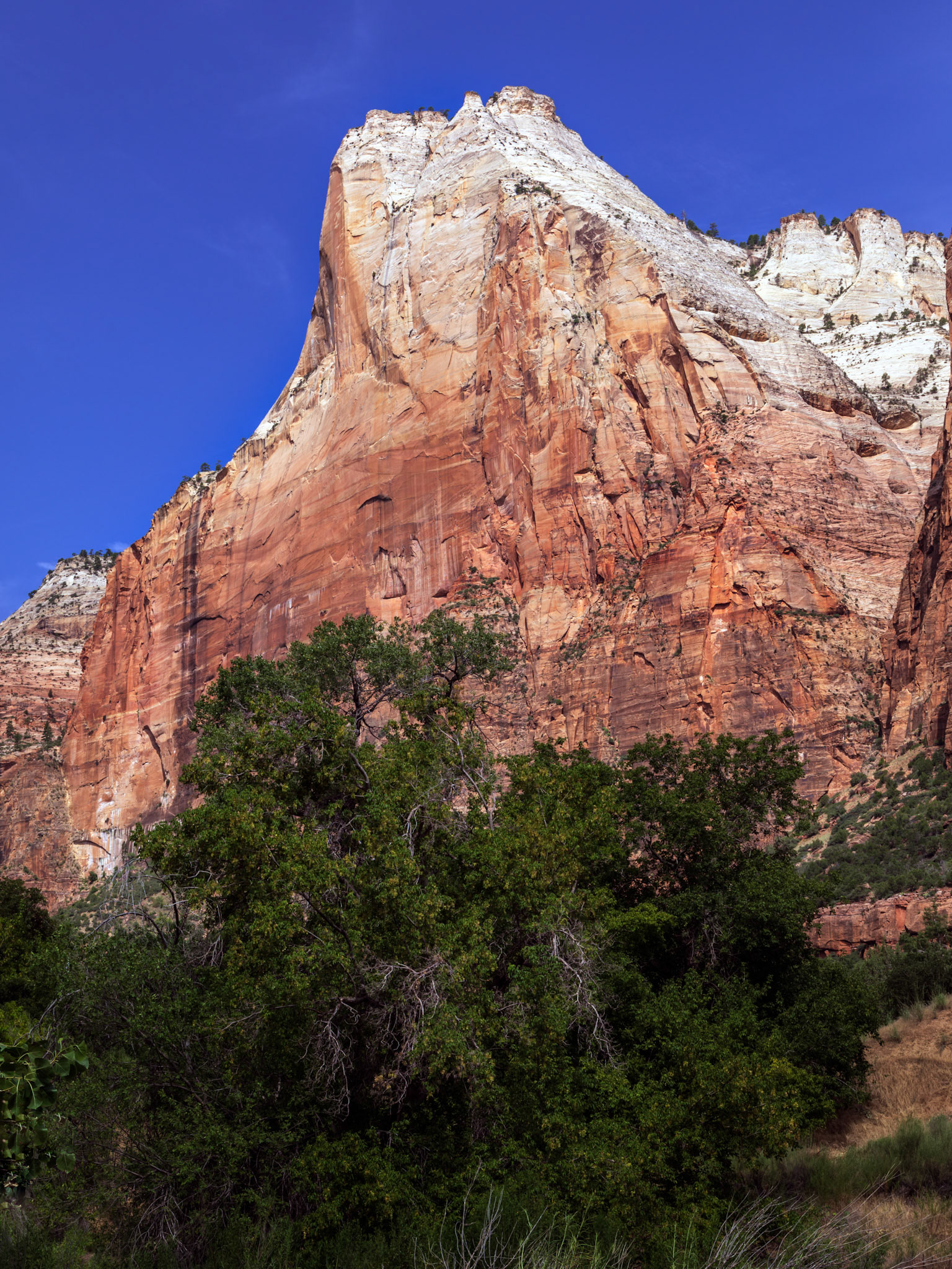 Court of the Patriarchs: Abraham Peak