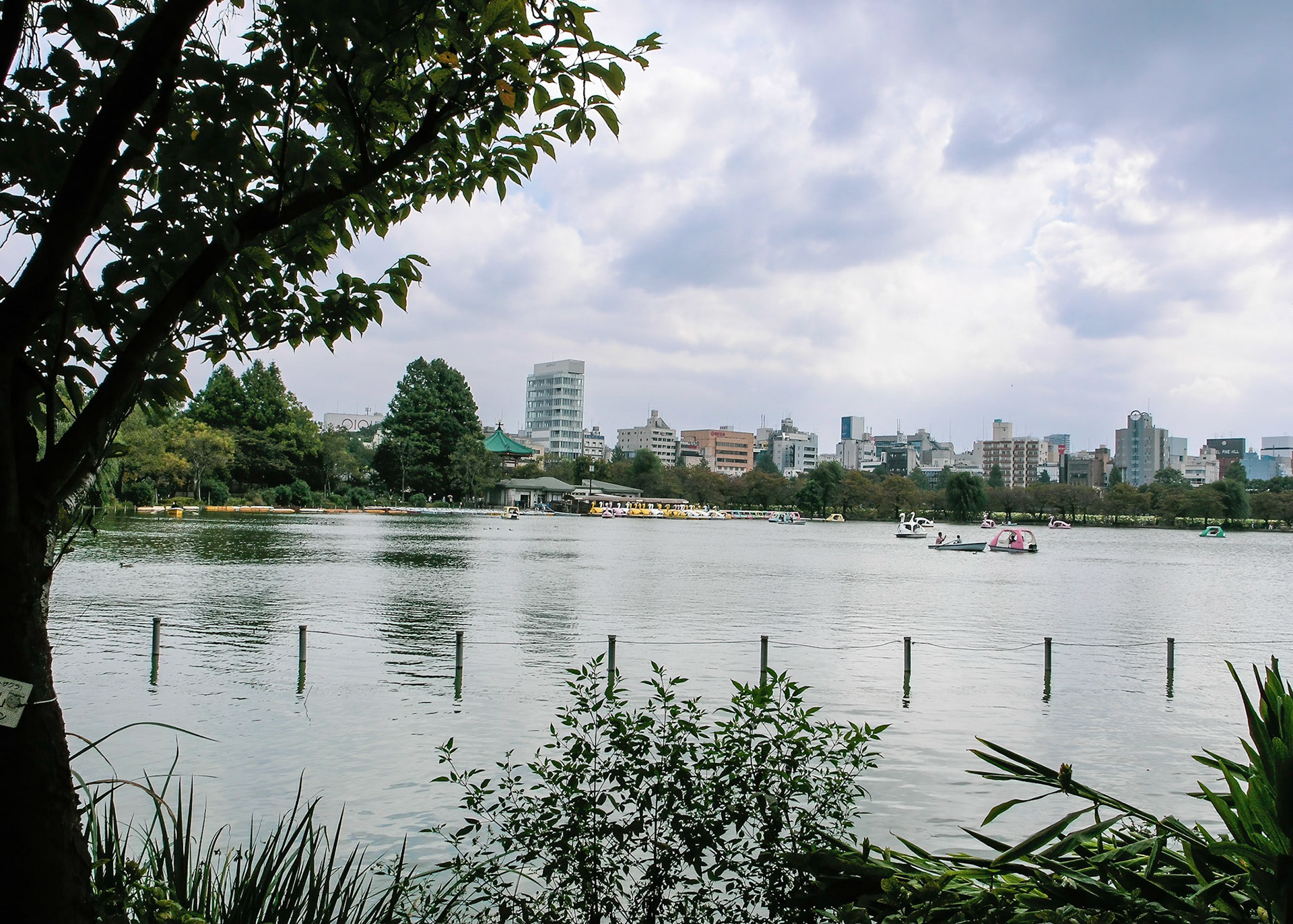 Shinobazuno Pond, Ueno