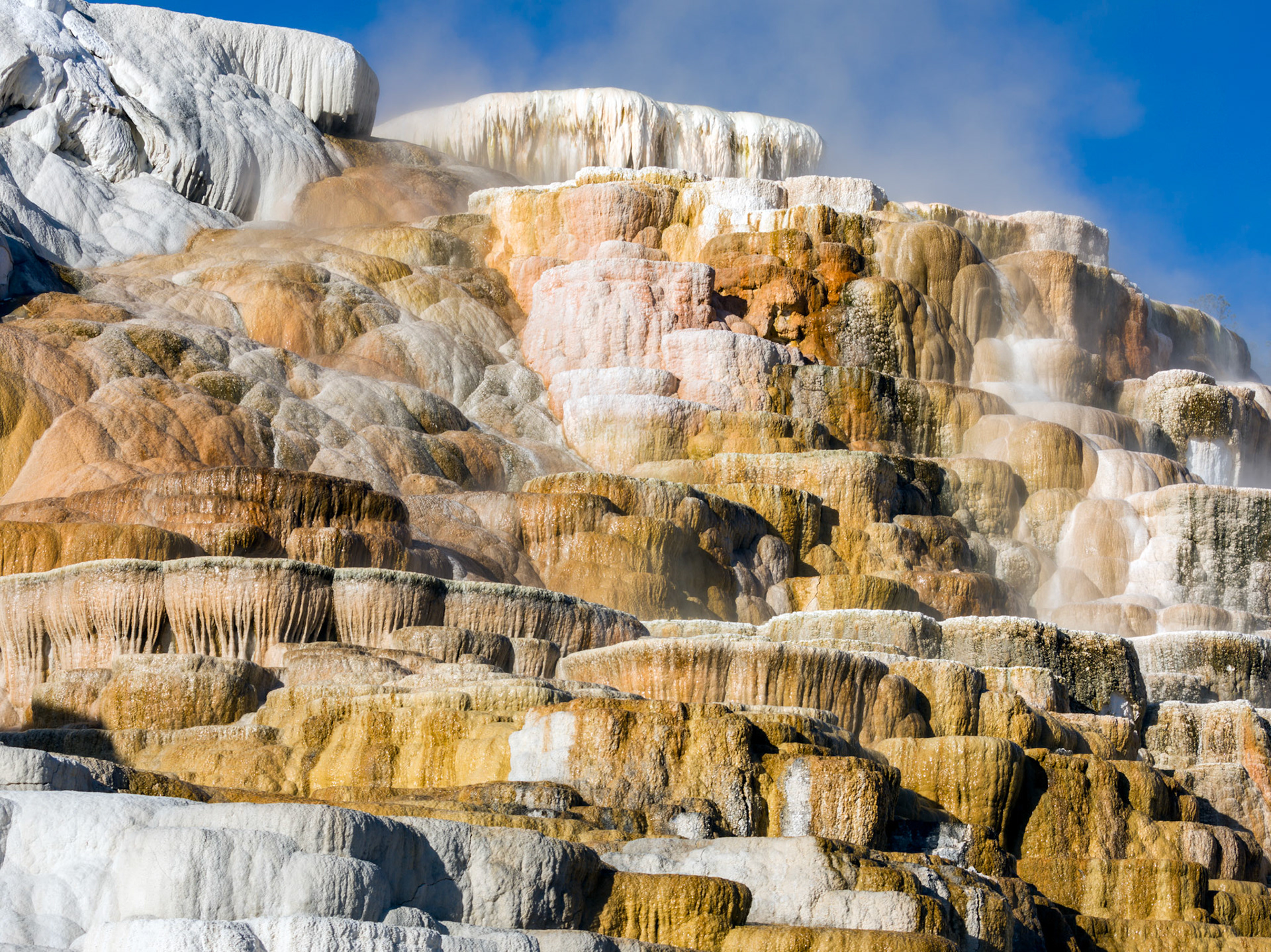 Upper Terraces, Mammoth Hot Springs. Yellowstone National Park, Wyoming.