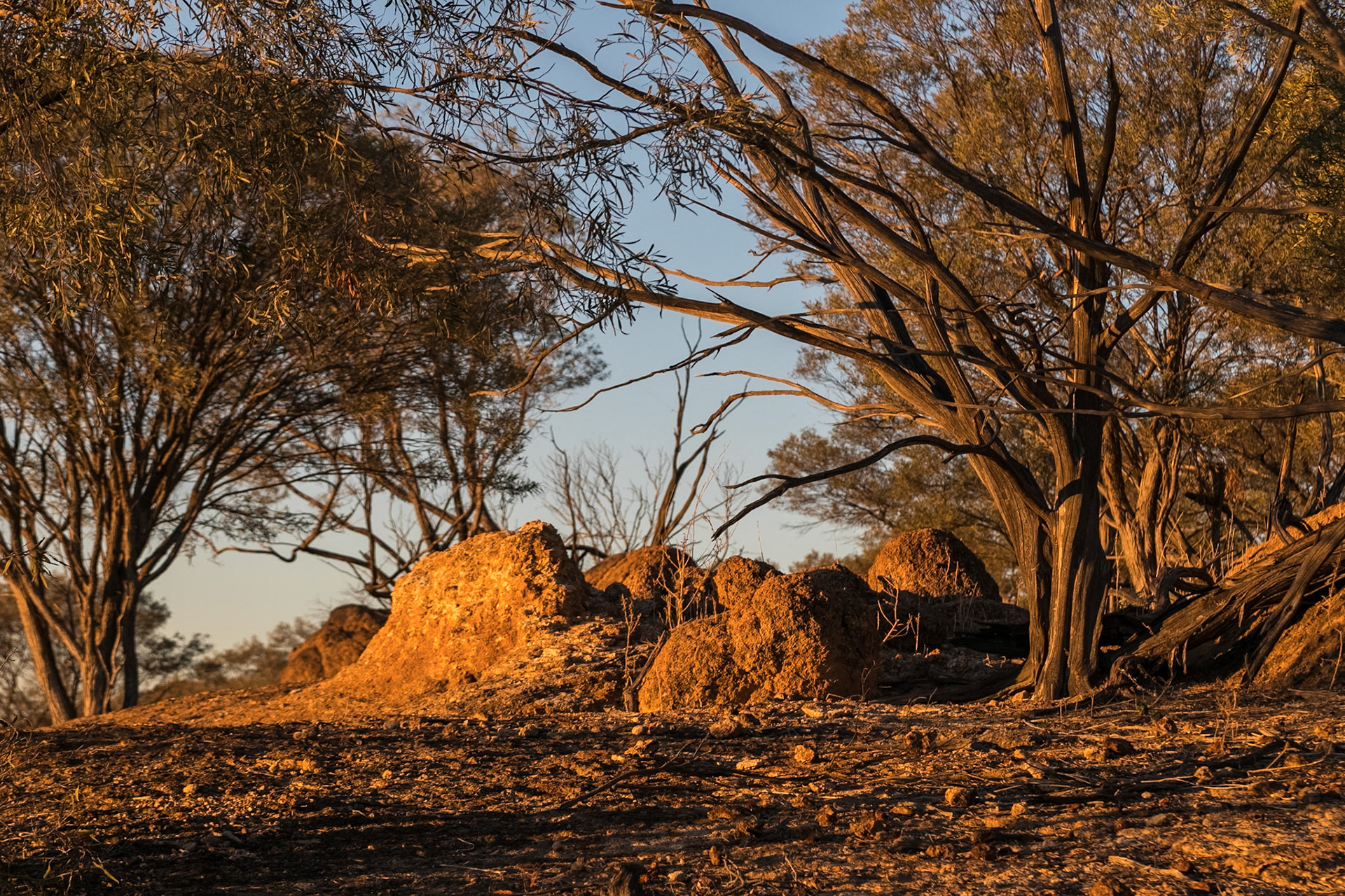 Rifts, at Rangelands Station, Winton