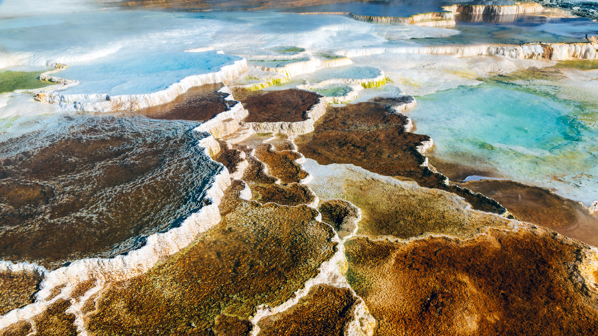 Lower Terraces, Mammoth Hot Springs. Yellowstone National Park, Wyoming.