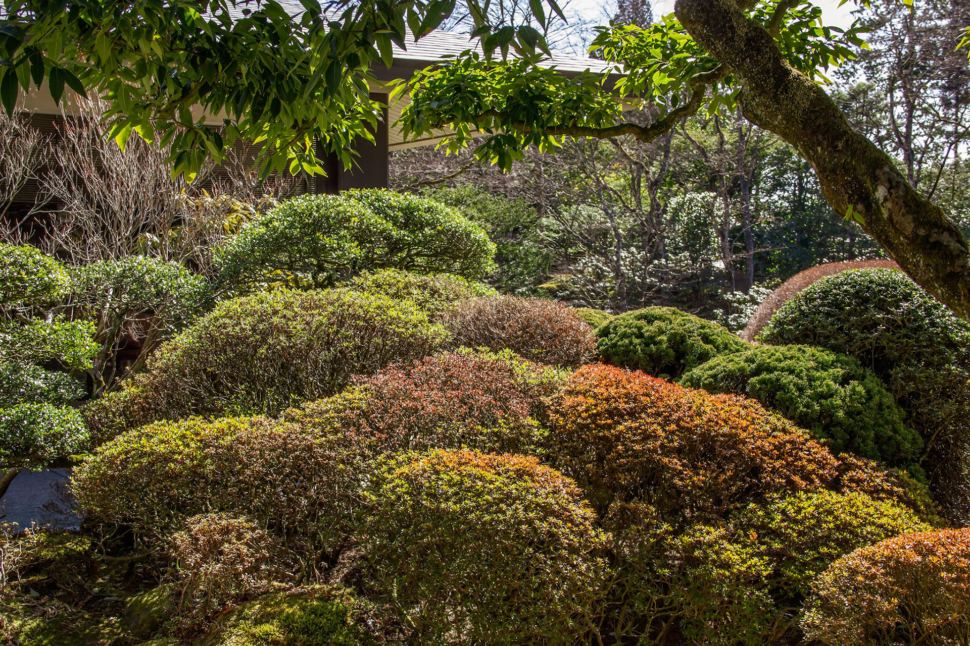 Shoyo-en Garden