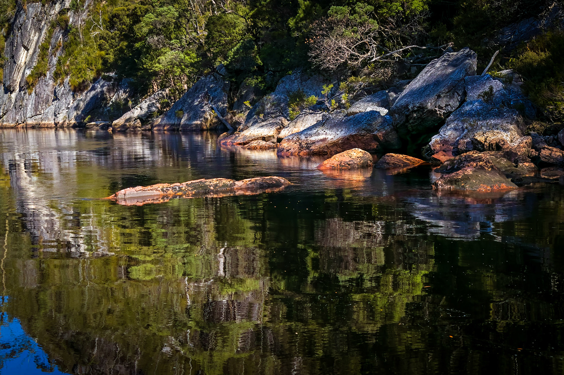 In the Davey River Gorge.