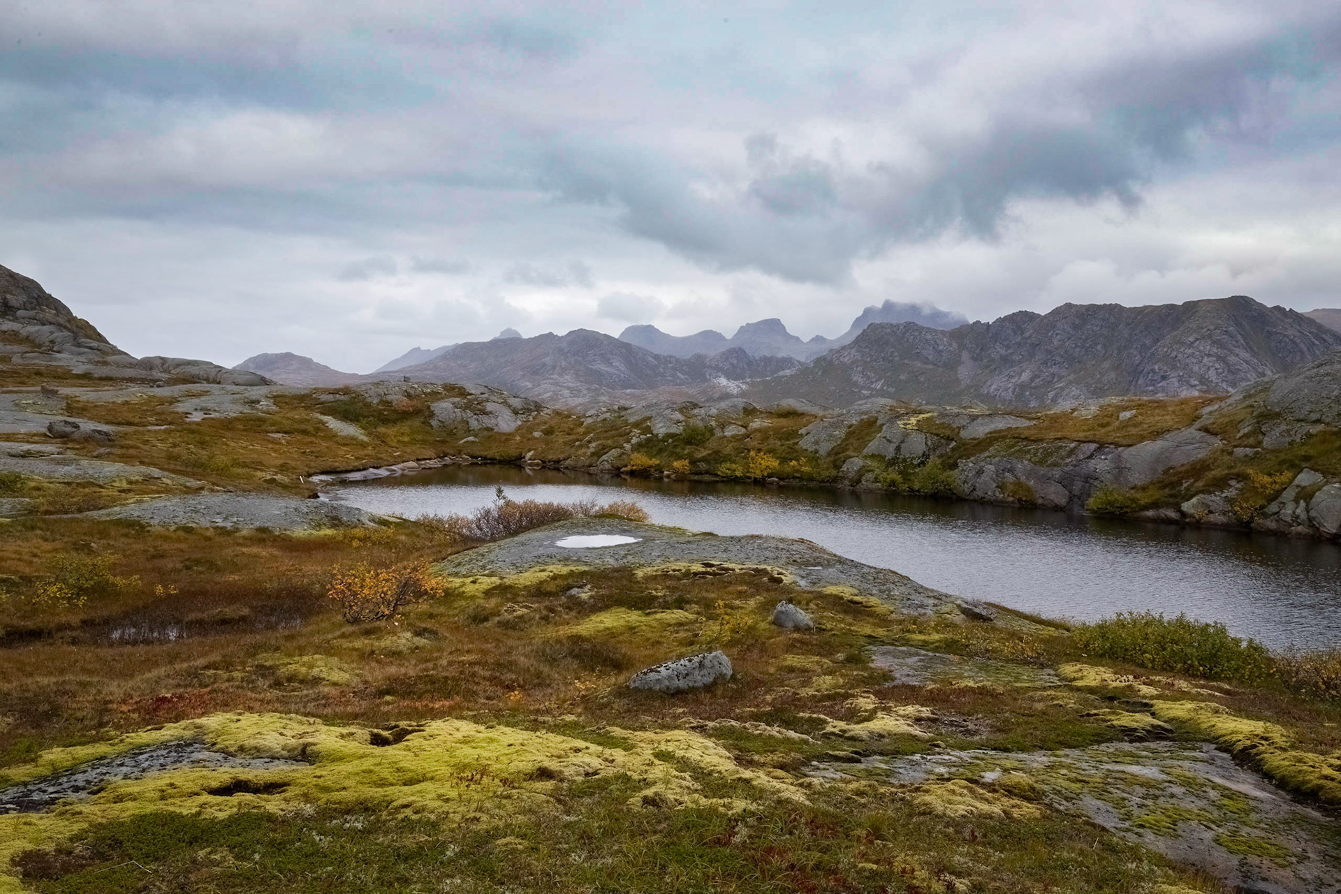 A tarn above Solbjørnvatnet Lake, Flakstad, Nordland. 4:40 pm.
