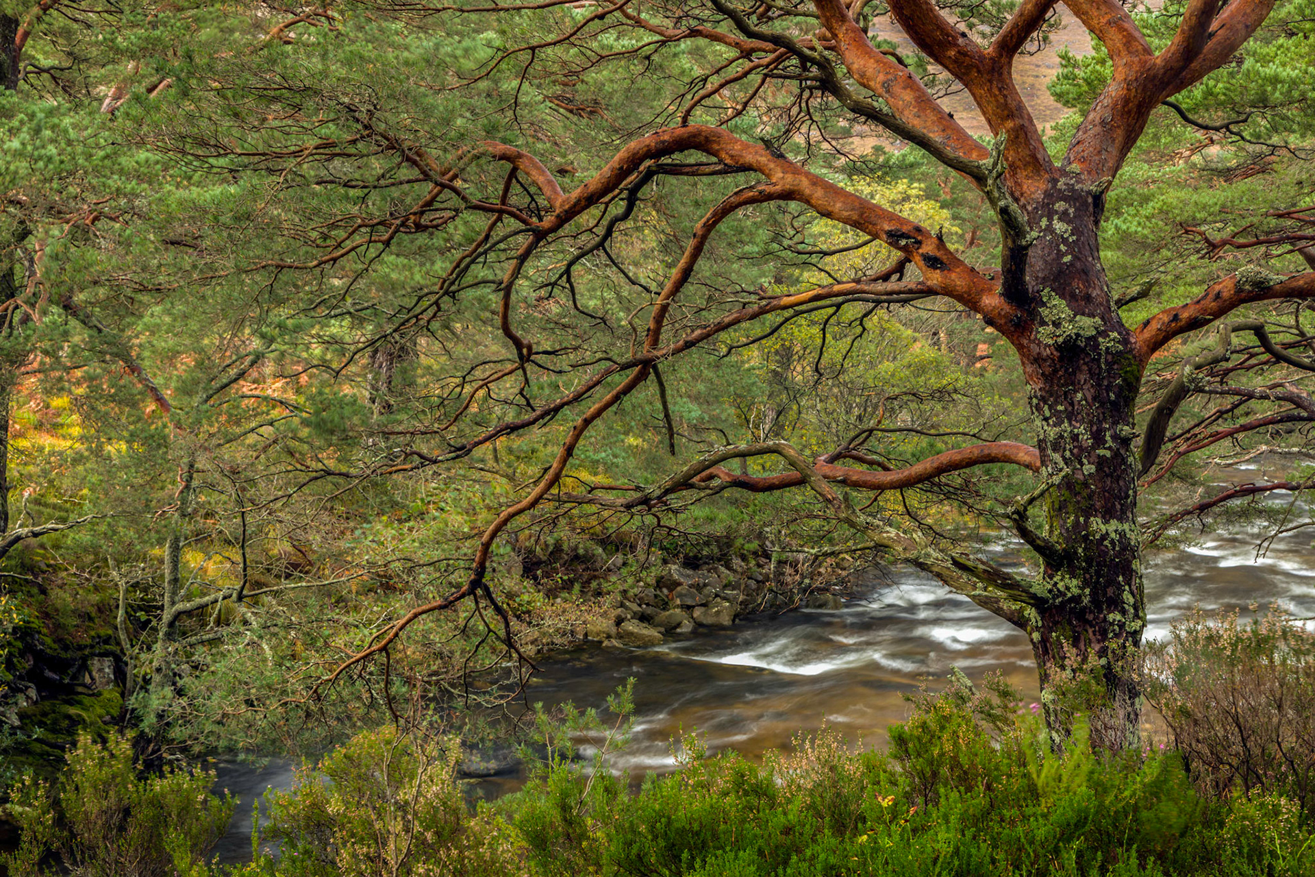 River Gruide, flowing to Loch Maree.