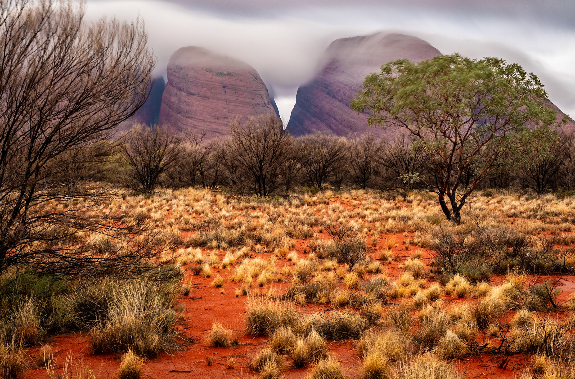 Sunset shoot at Kata Tjuṯa / Mount Olga