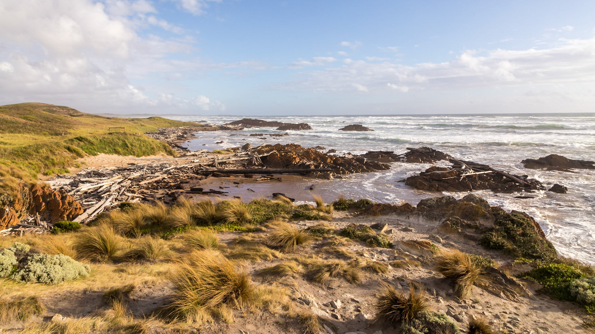 Beach strewn with logs from the forests. Arthur River.