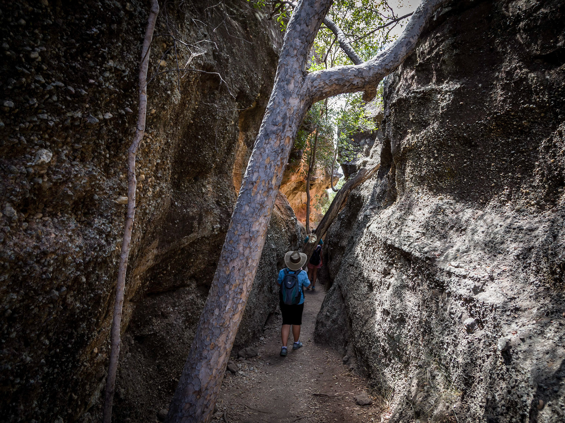 Sandstone formations near Cobbold Gorge