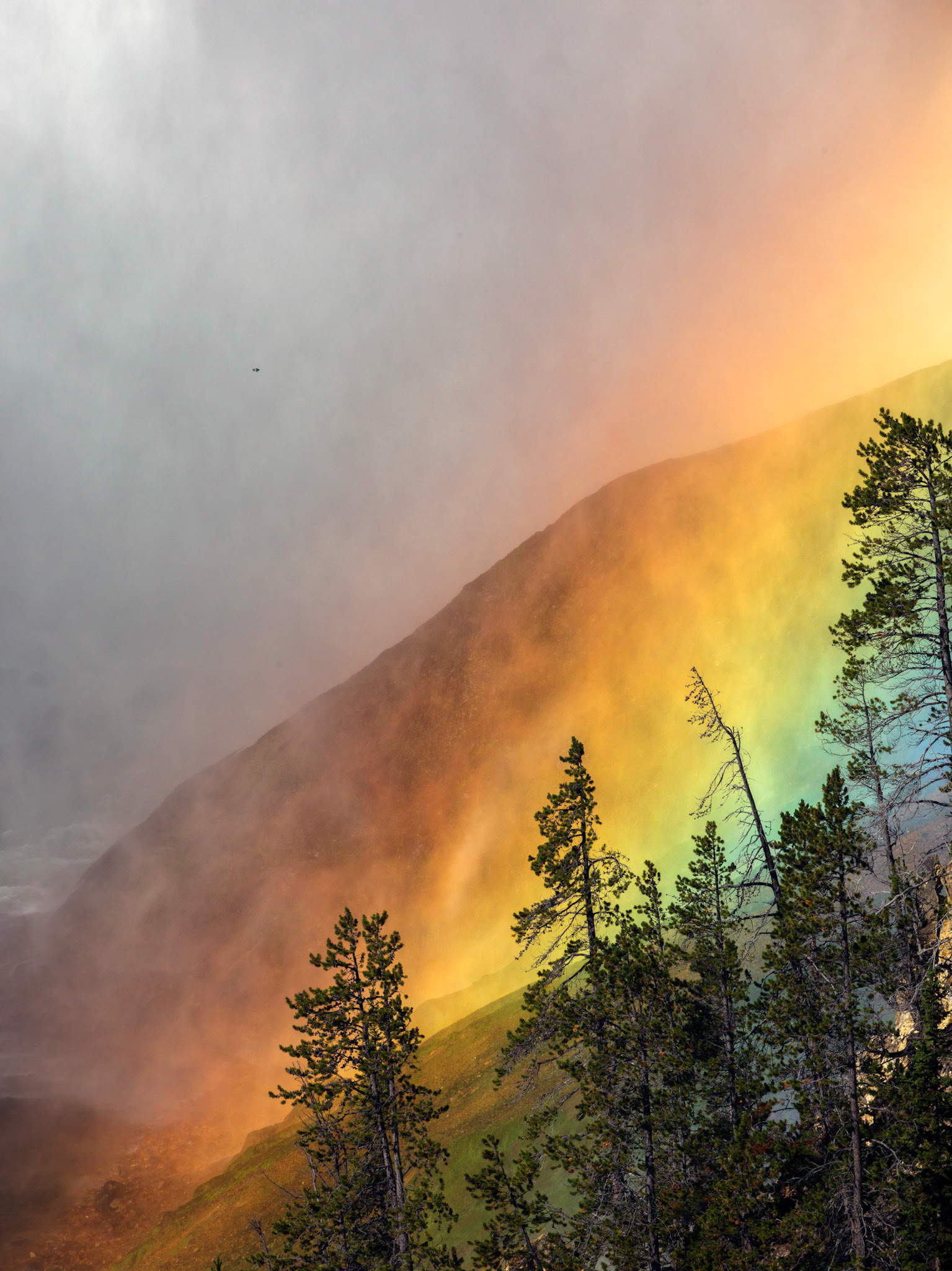 Lower Falls of the Yellowstone, Lookout Point