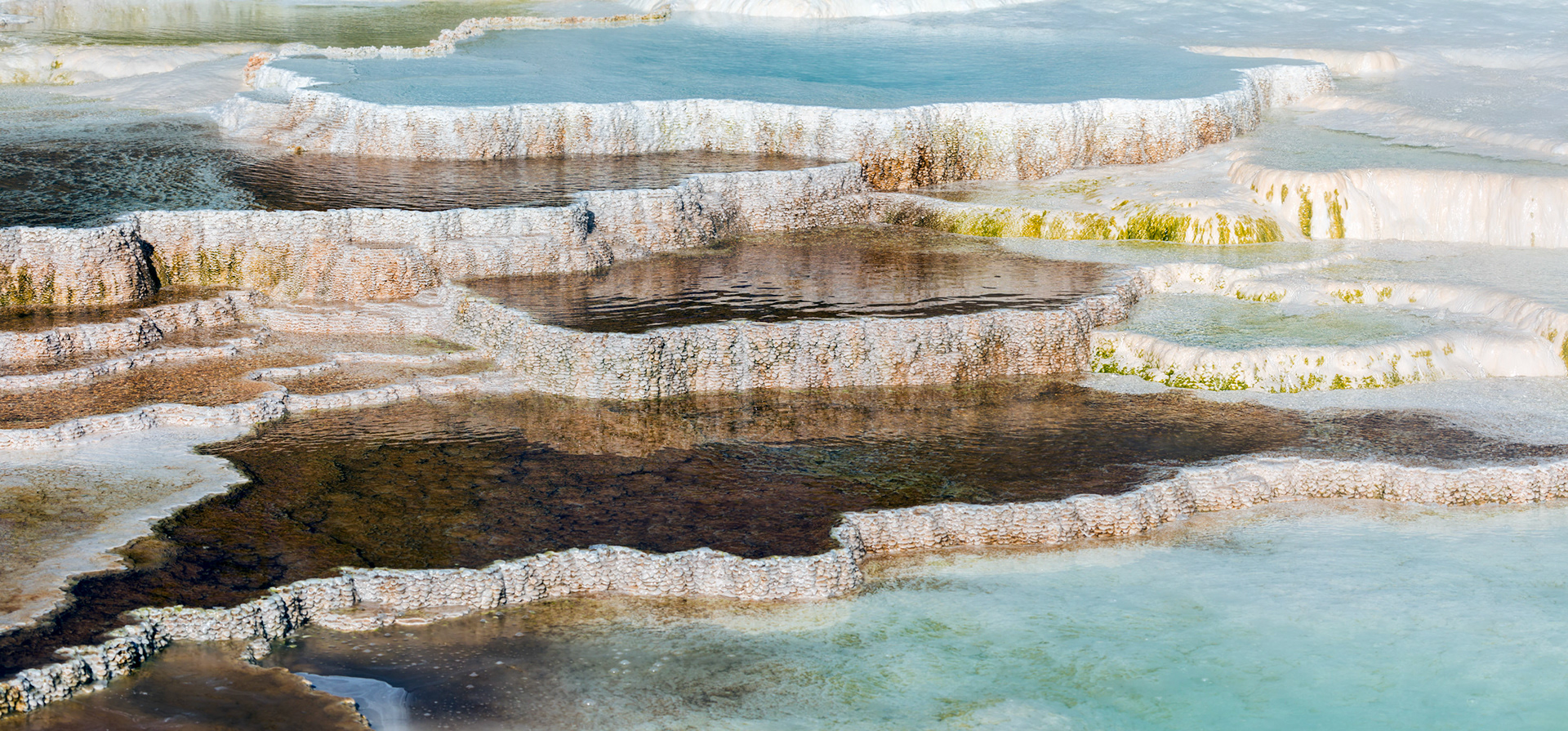 Lower Terraces, Mammoth Hot Springs