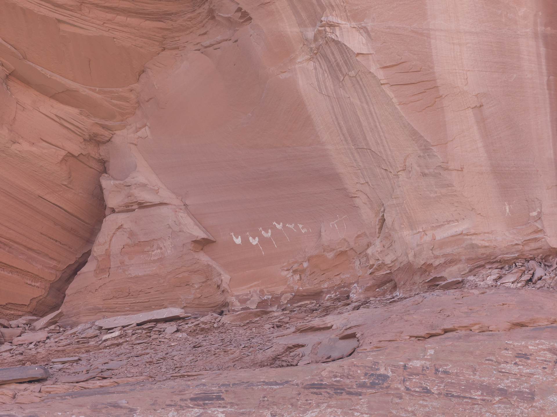 Petroglyphs on the canyon wall