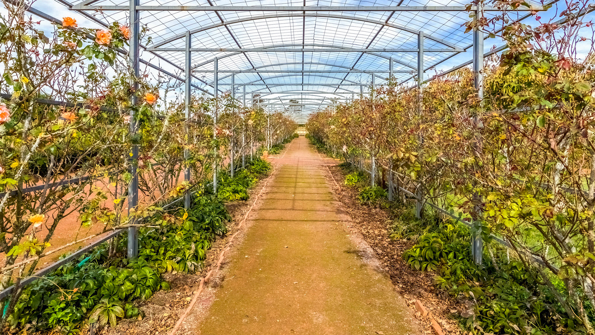 'Woolmers Estate', World Heritage Site near Longford