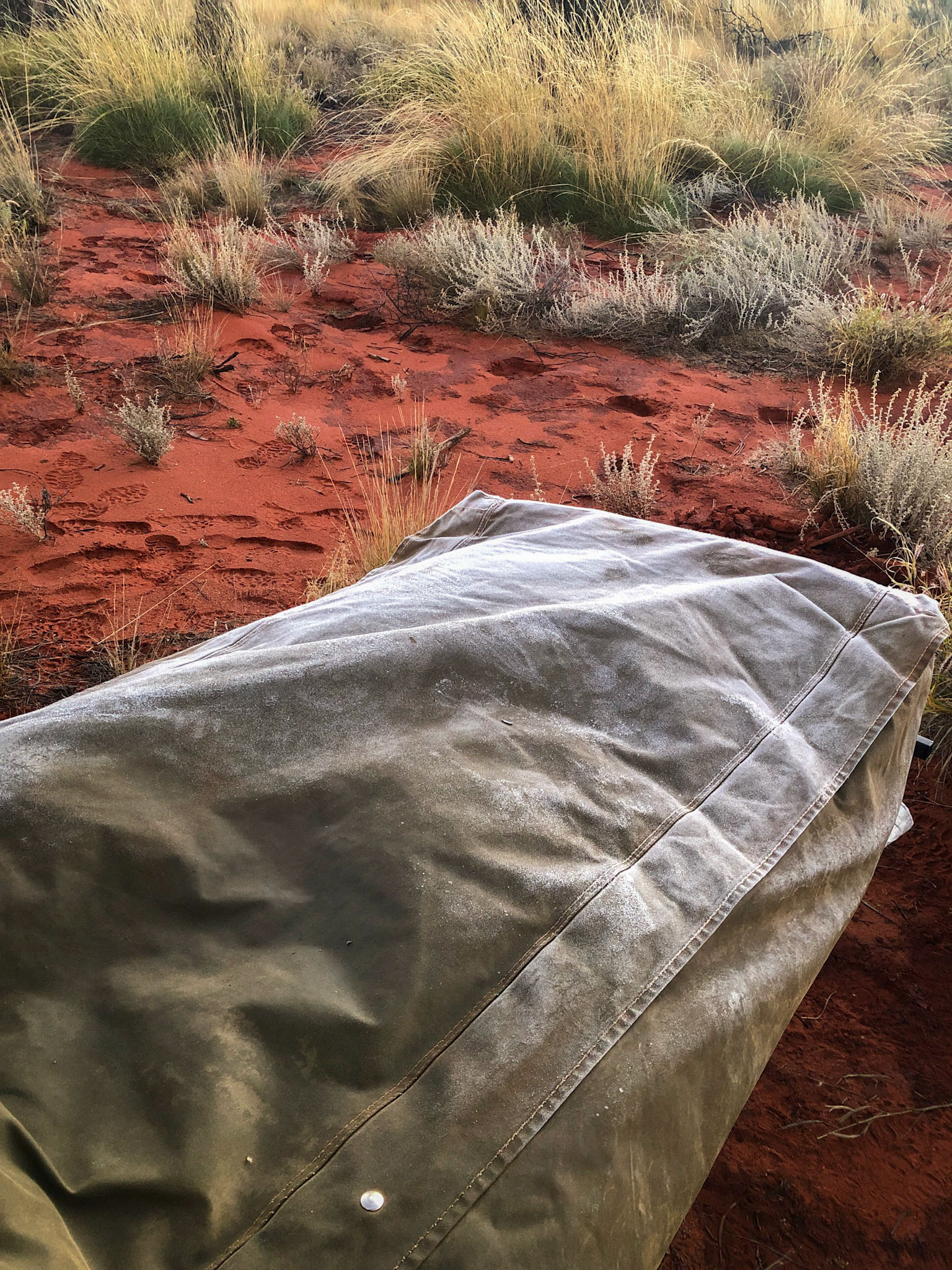 Frost on the swag (and camel footprints!)