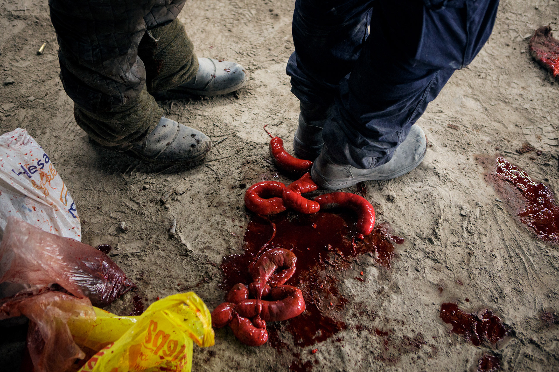 Kuva: Ella Kiviniemi