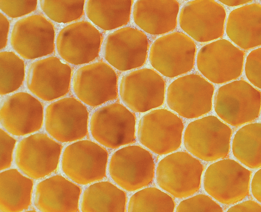The bee mascot inspired the honeycomb-like design of the railing.