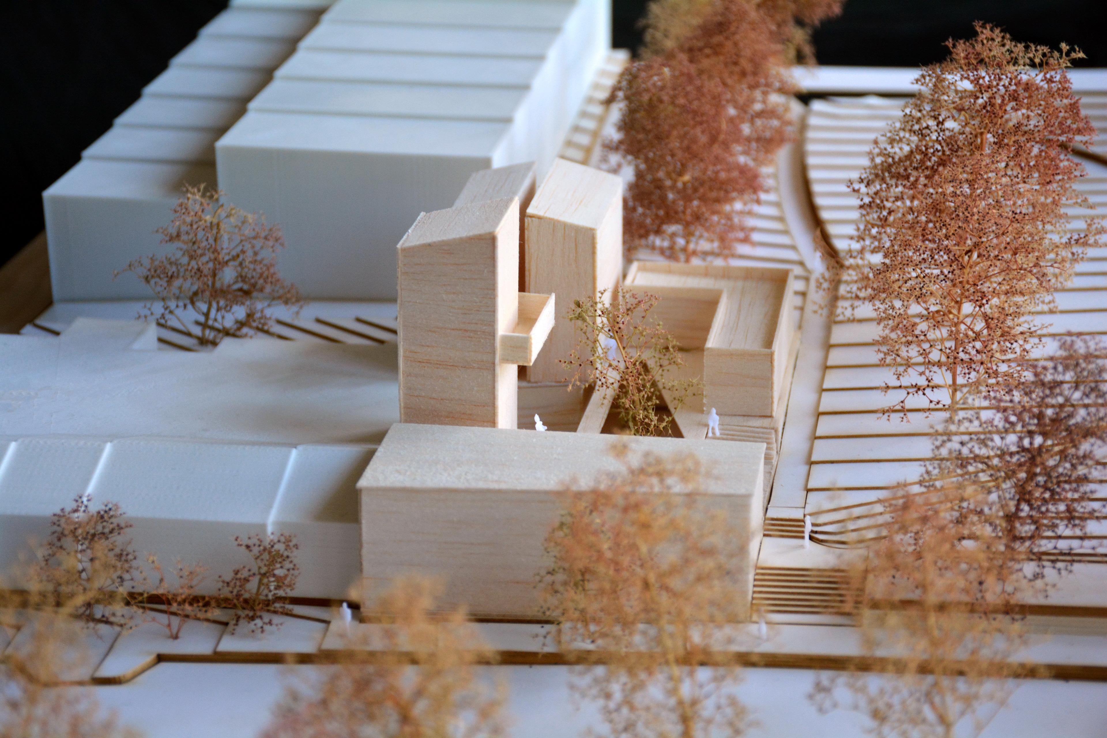 1:200 SITE MODEL VIEW FROM WILSON ST