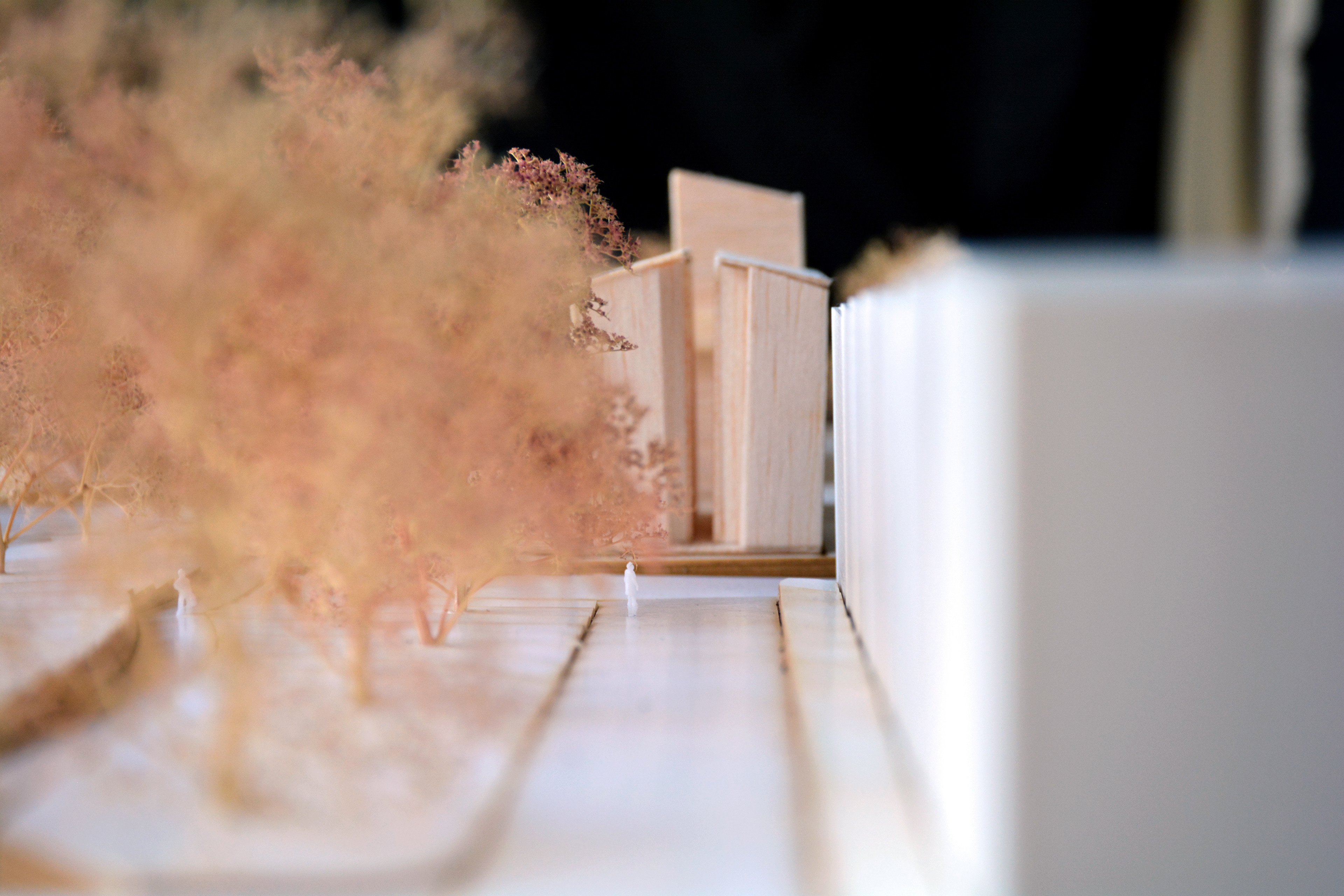 1:200 SITE MODEL VIEW FROM GEORGINA ST