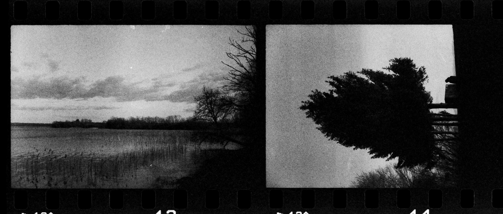 plateliai | zenit 11 | kentmere 400 | 2020