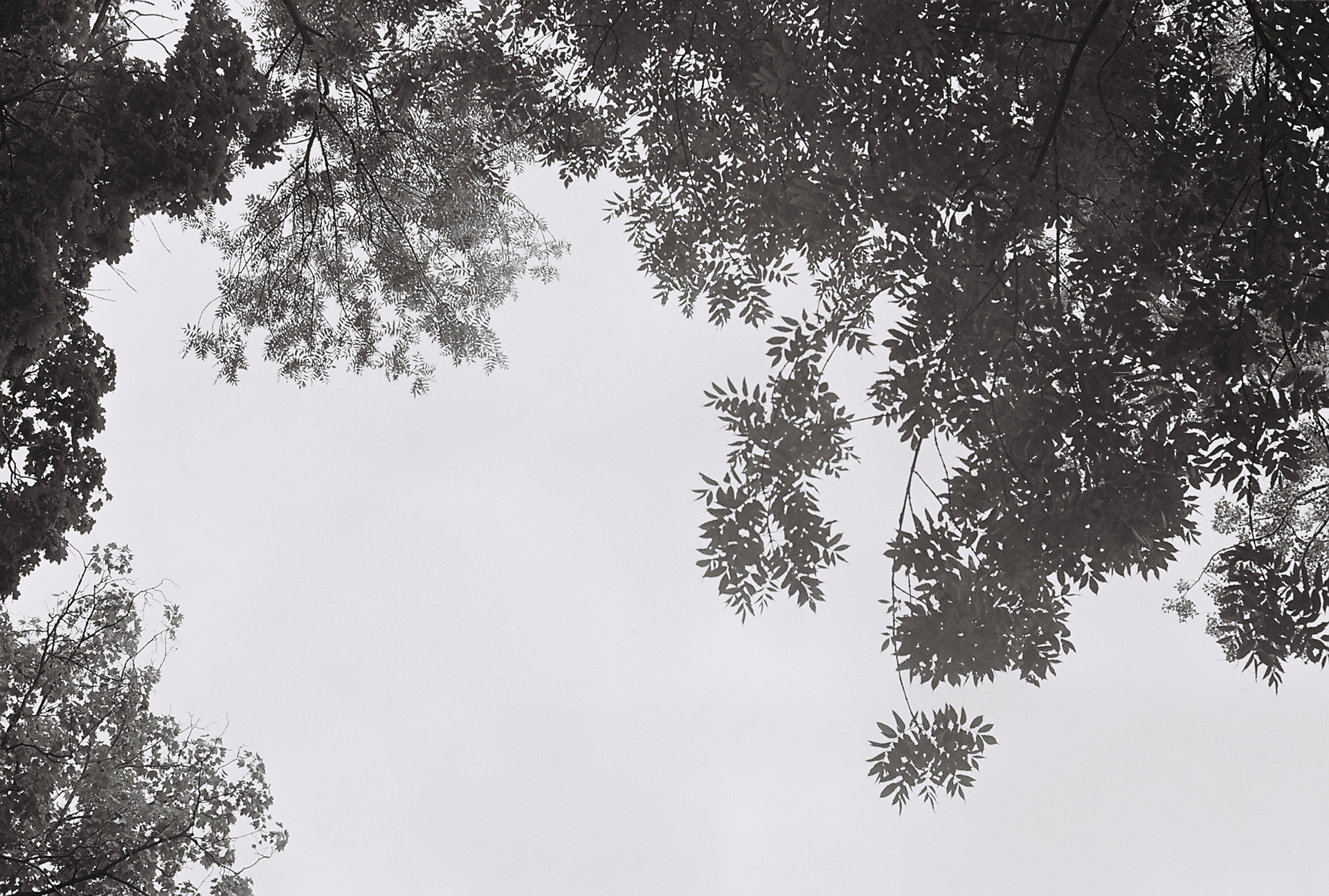 kyiv | zenit 11 | xp2 | 2019