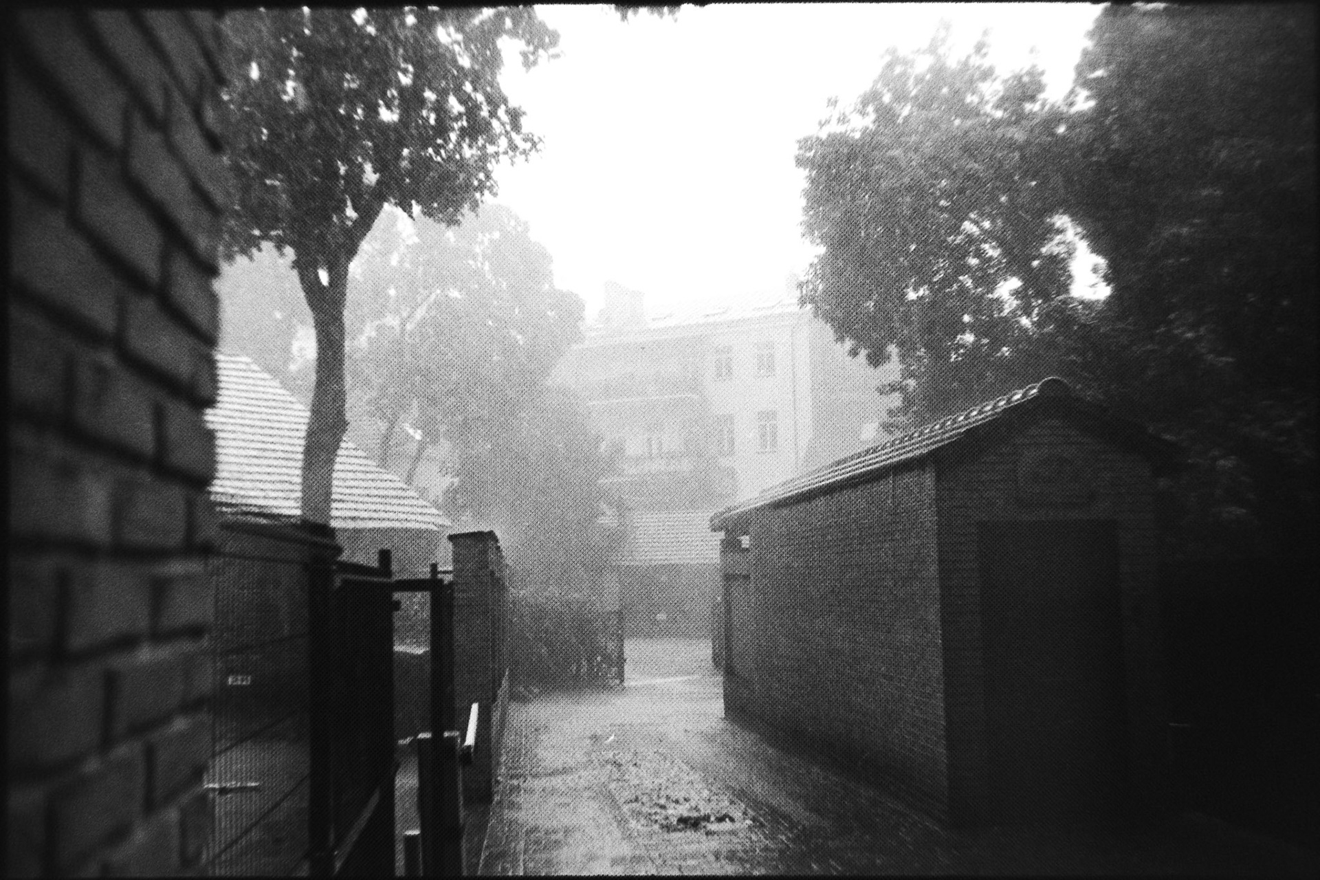 vilnius | zenit 11 | kentmere 400 | 2020