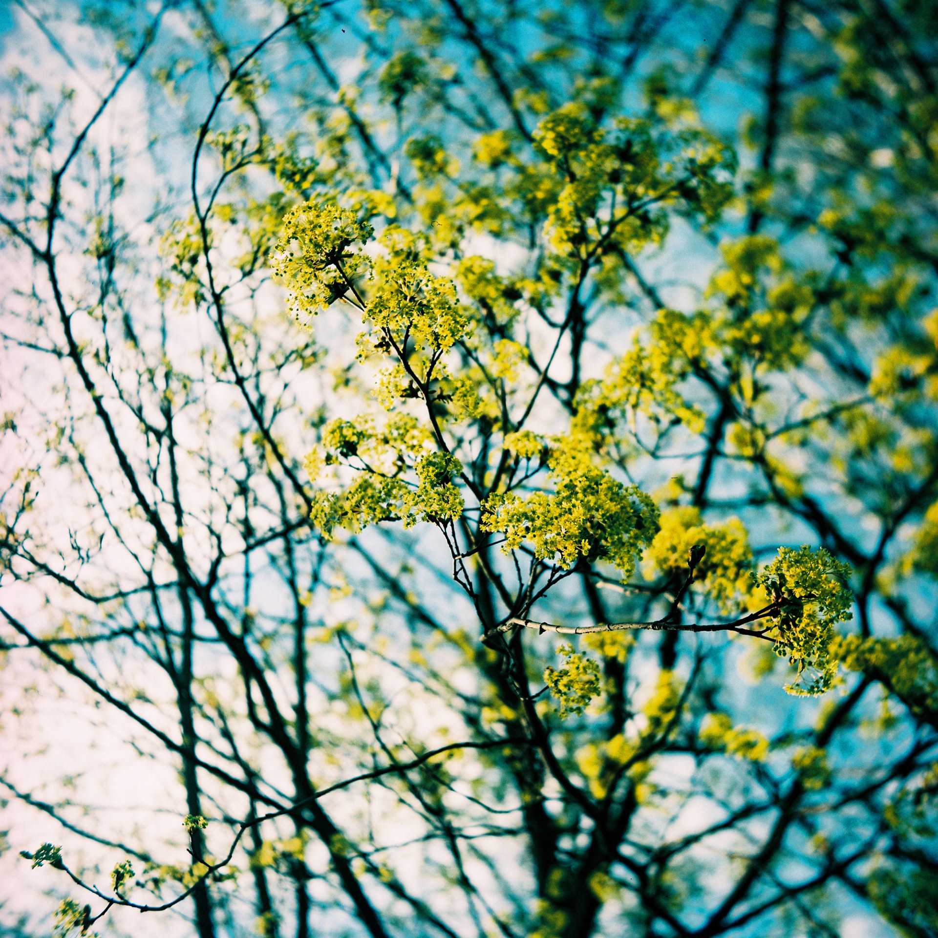 franka solida iii | radionar 80/2.9 | provia 100 xpro | 2022