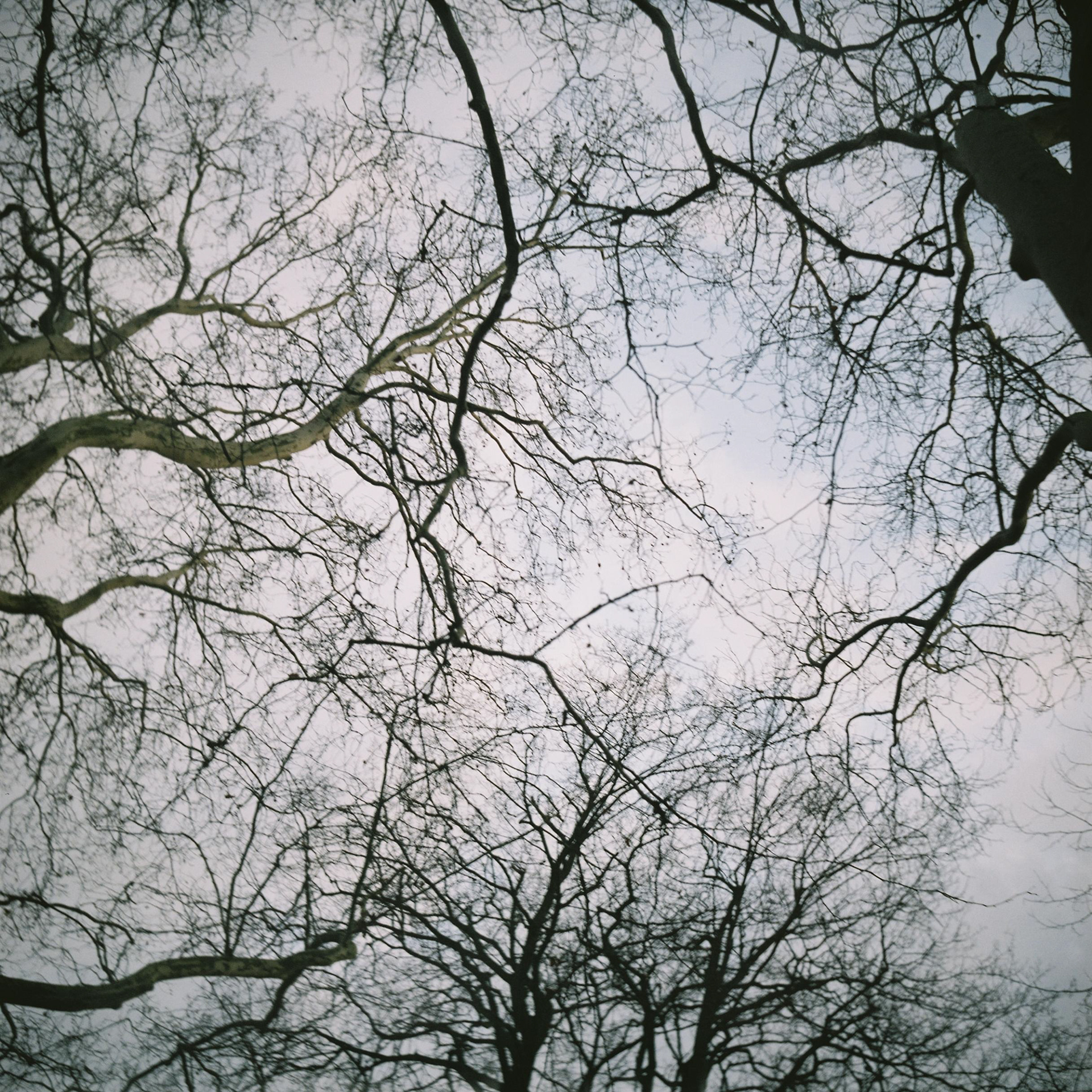 lubitel-166b | pro400h | 2020