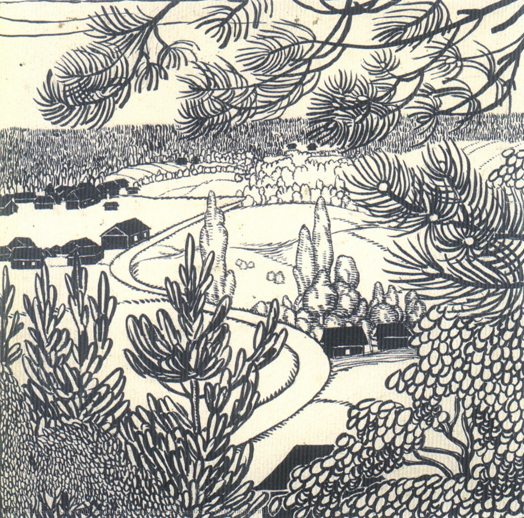 White Night. Finland. 1911