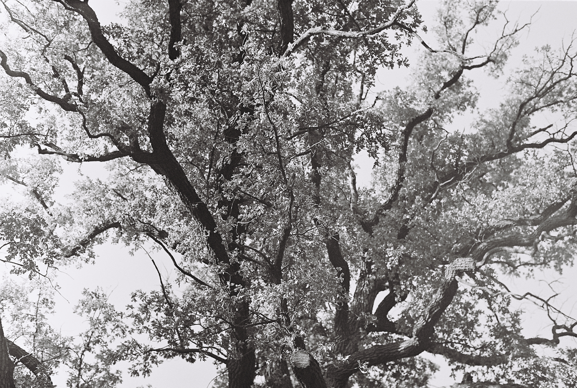 kyiv | zenit 11 | xp2 | 2019