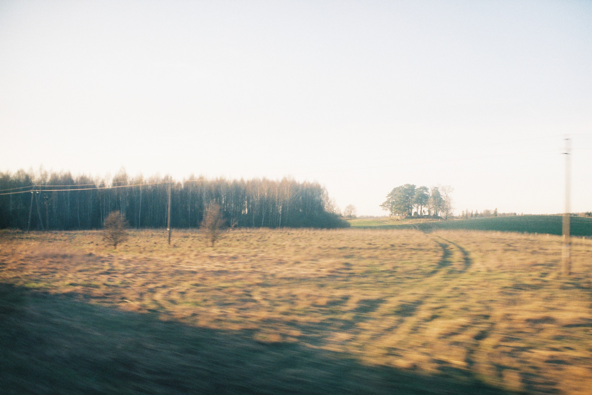 zenit 11 | fujicolor c200 | 2019