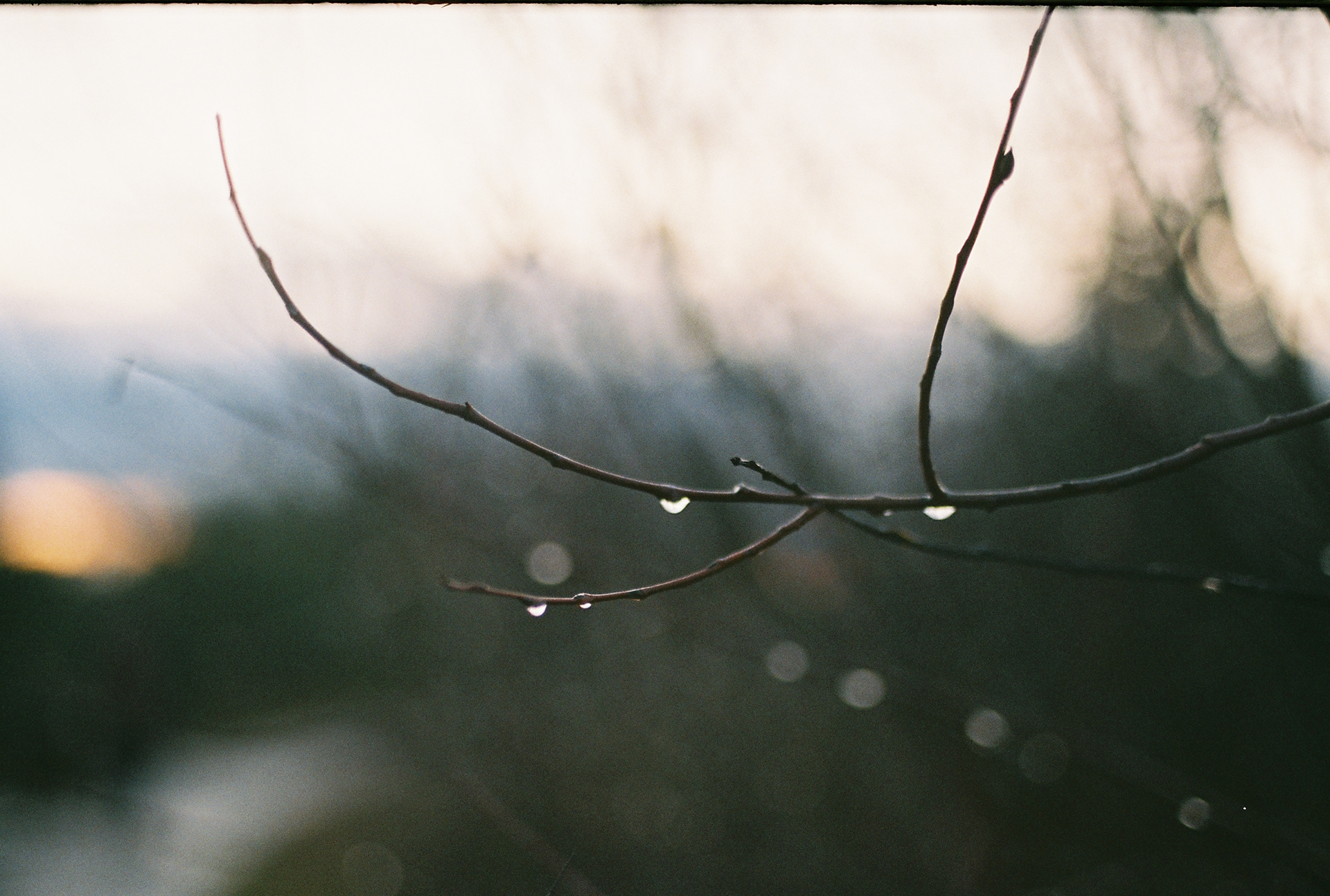 zenit 11 | zenitar-m 50/1.7 | superia 400 | 2019