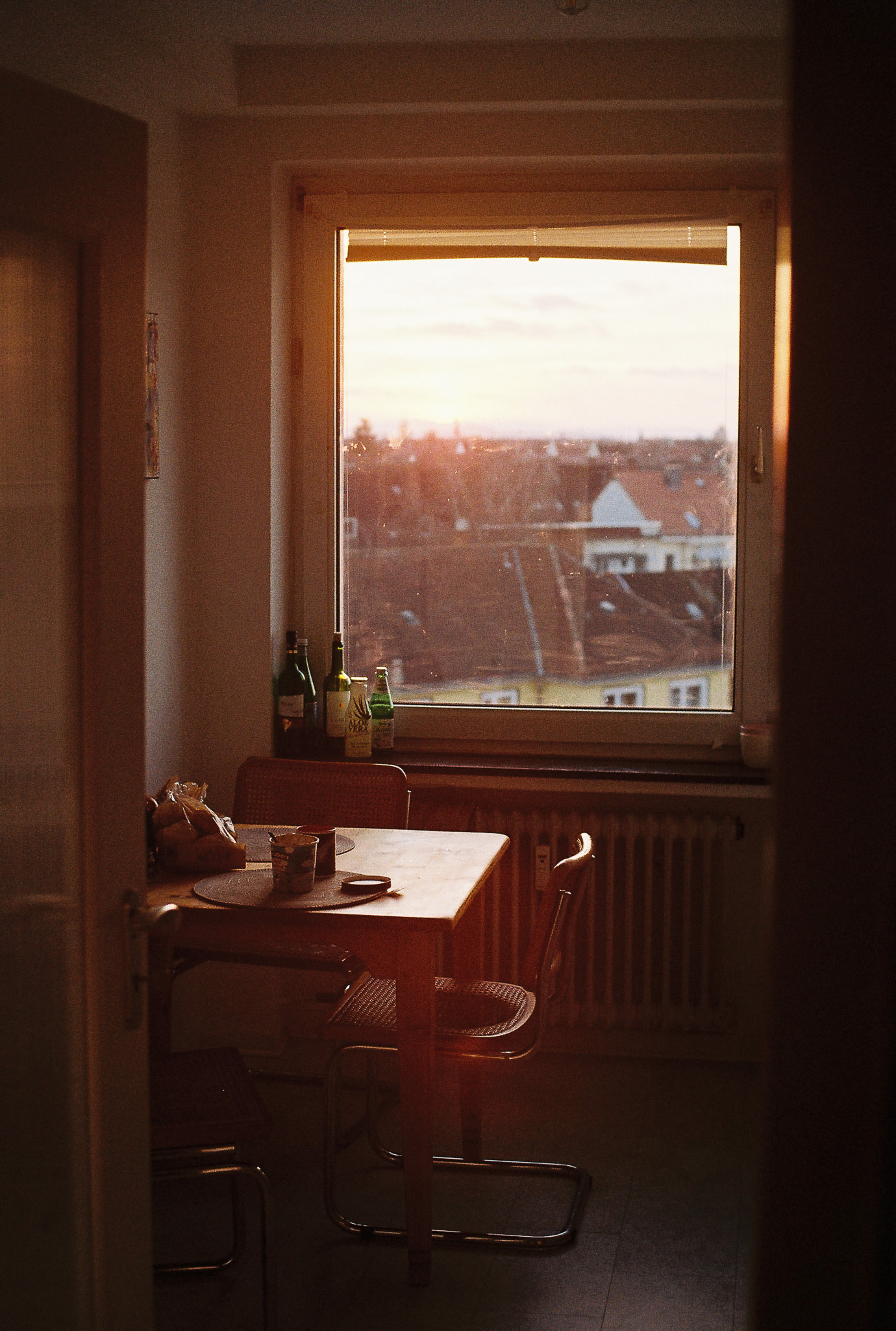 zenit 11 | zenitar 50/1.7 | colorplus 200 | 2021