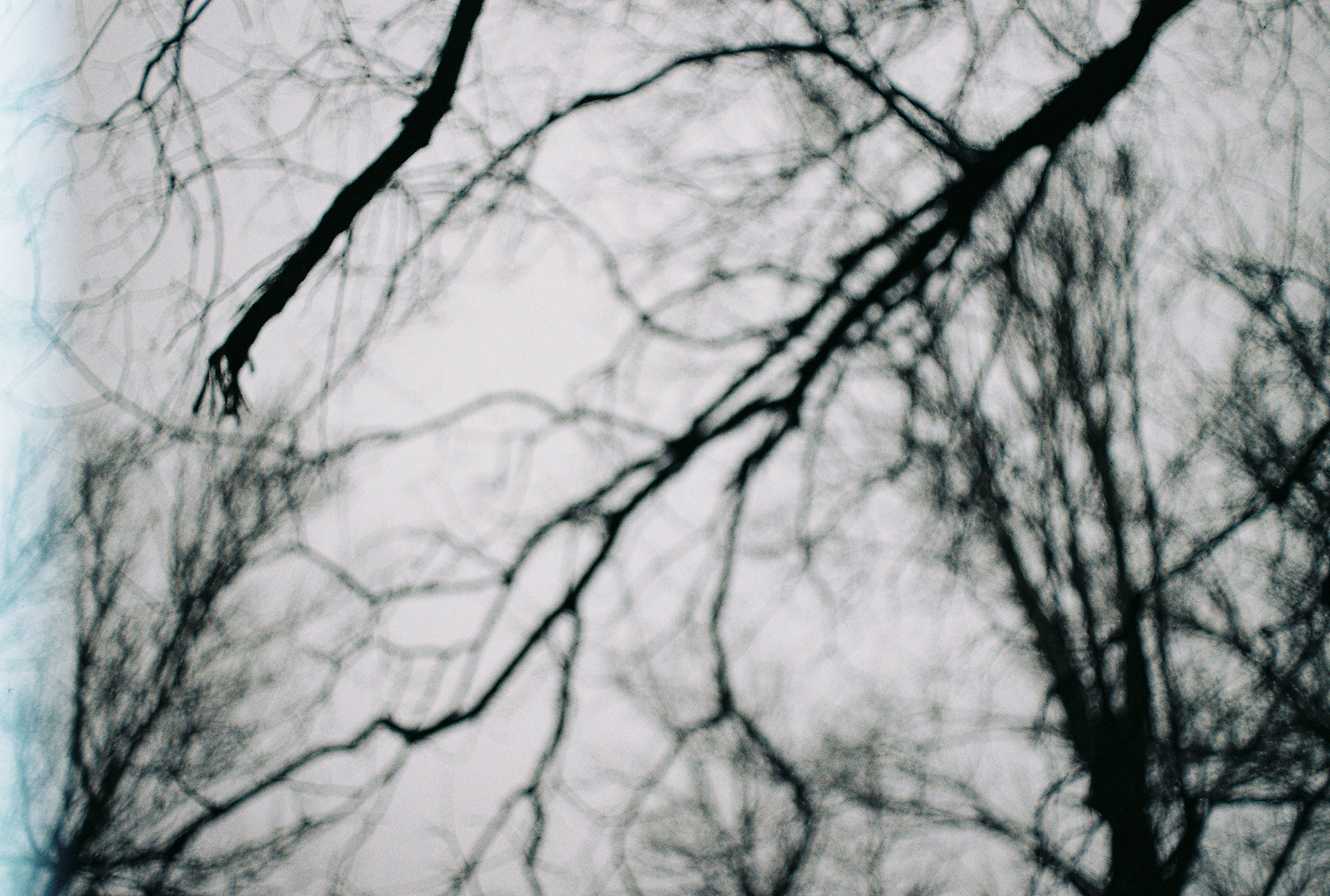 nikon em | colorplus 200 | 2021