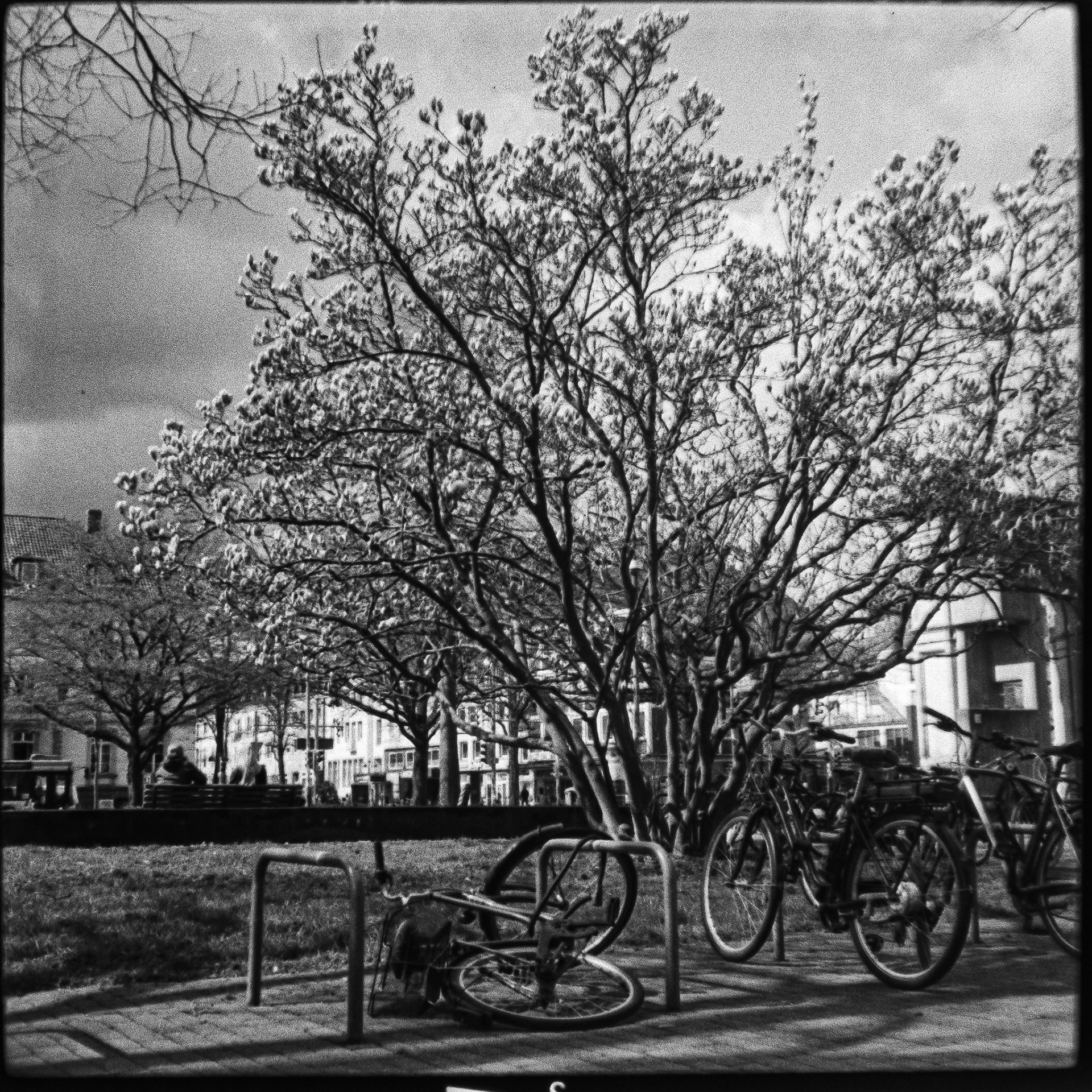 hannover | franka solida iii | radionar 80/2.9 | hp5+ | 2021