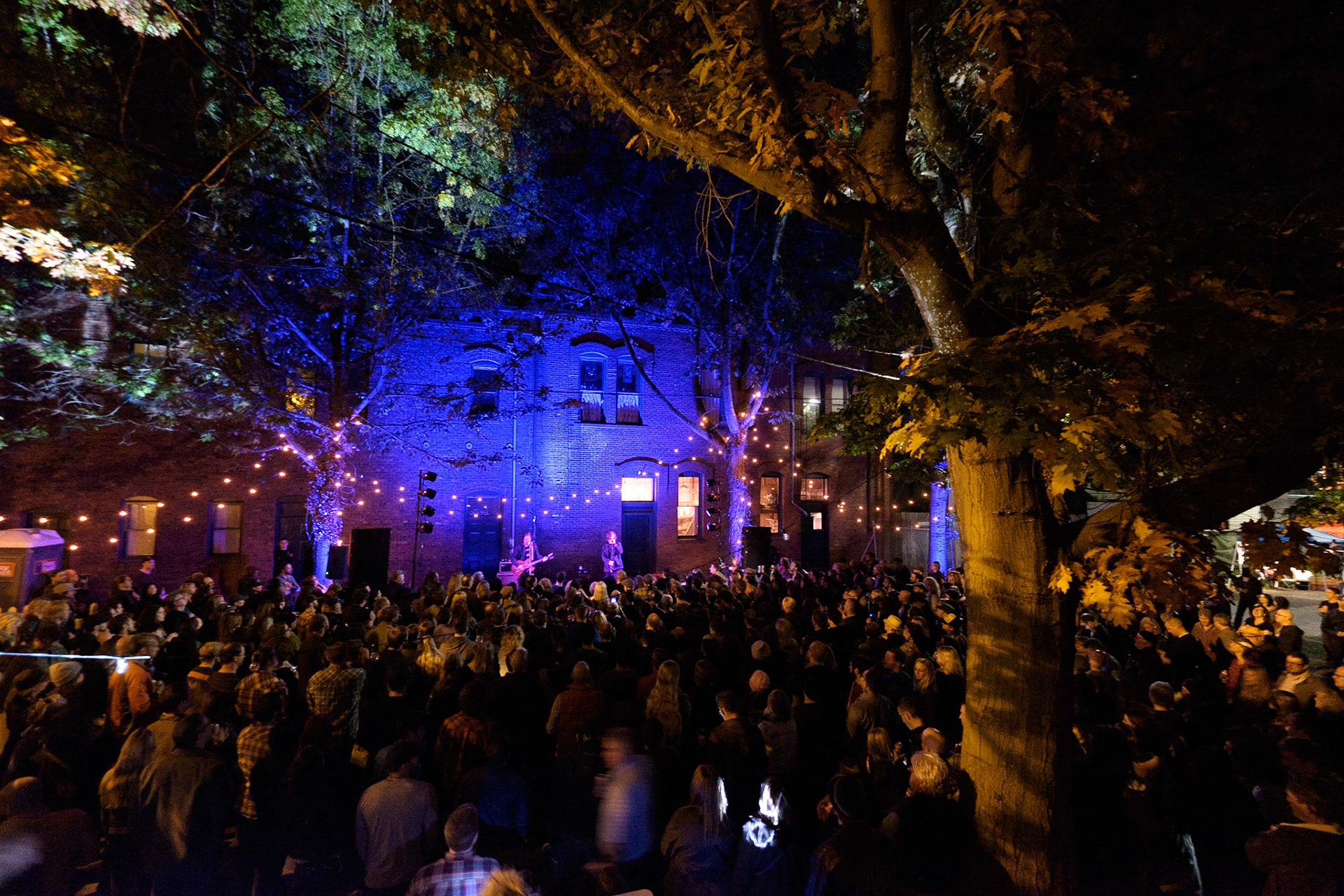 Mark Lanegan. Macefield Music Festival 2015.