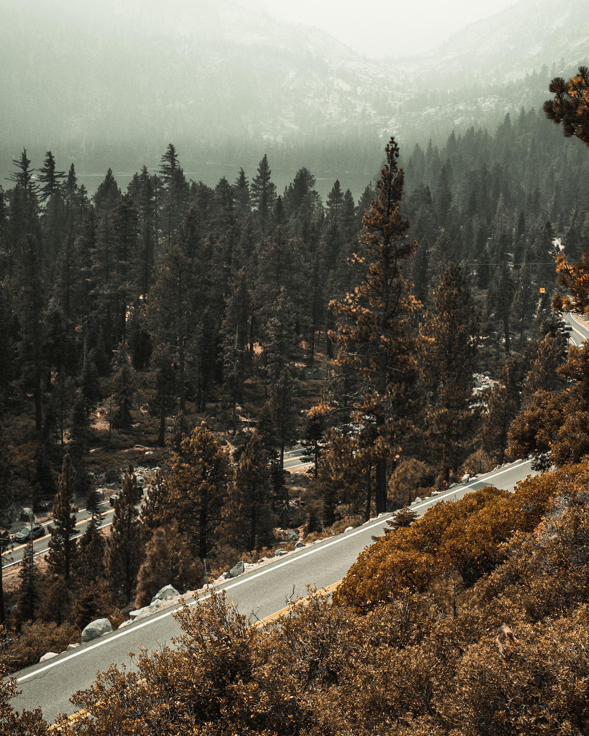 Sony α7S II, Minolta 35mm 2.8 